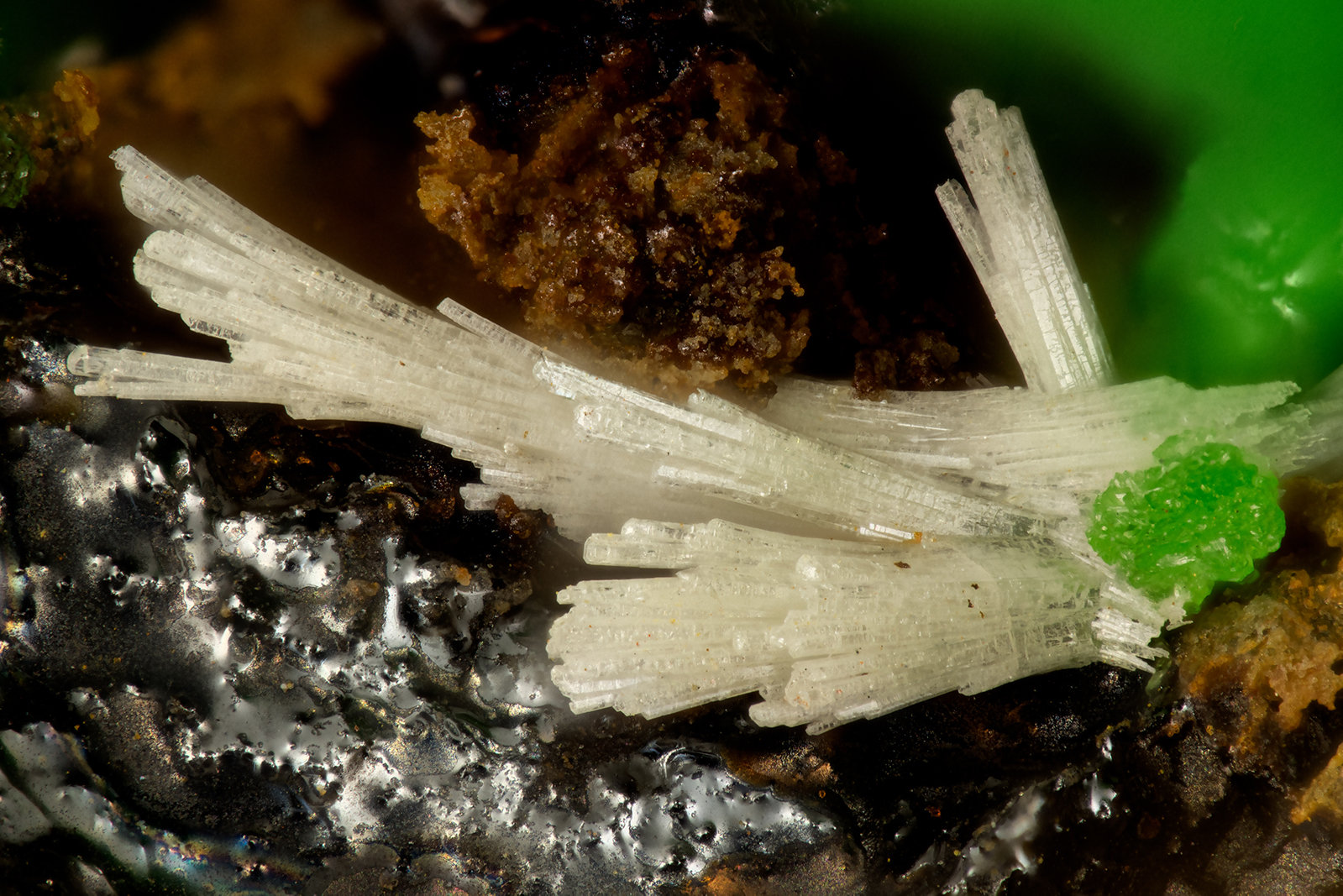 Cerussite, Conichalcite
FOV = 1.6 mm
(Autor: Doug)