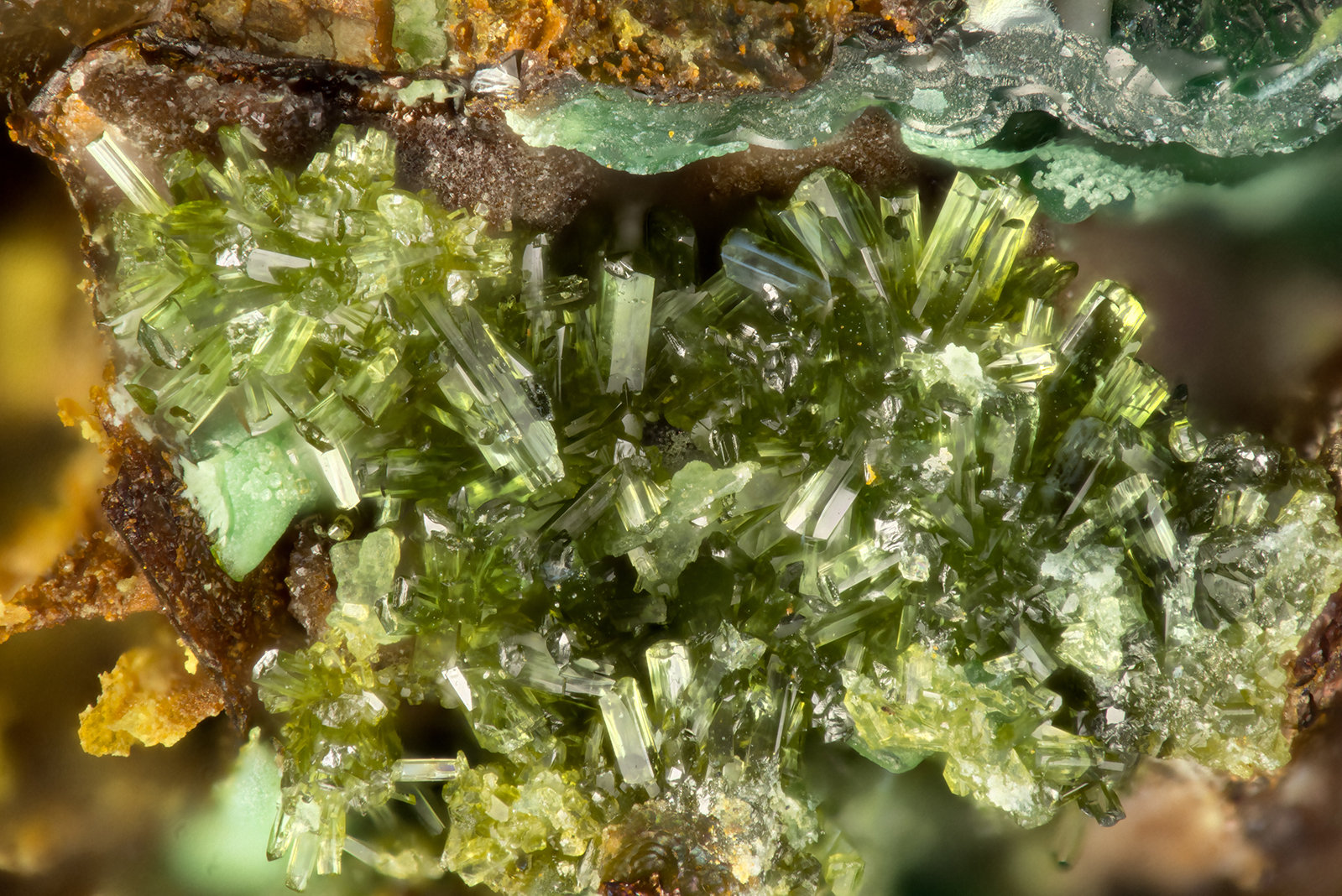 Olivenite
FOV = 1.7 mm
(Autor: Doug)