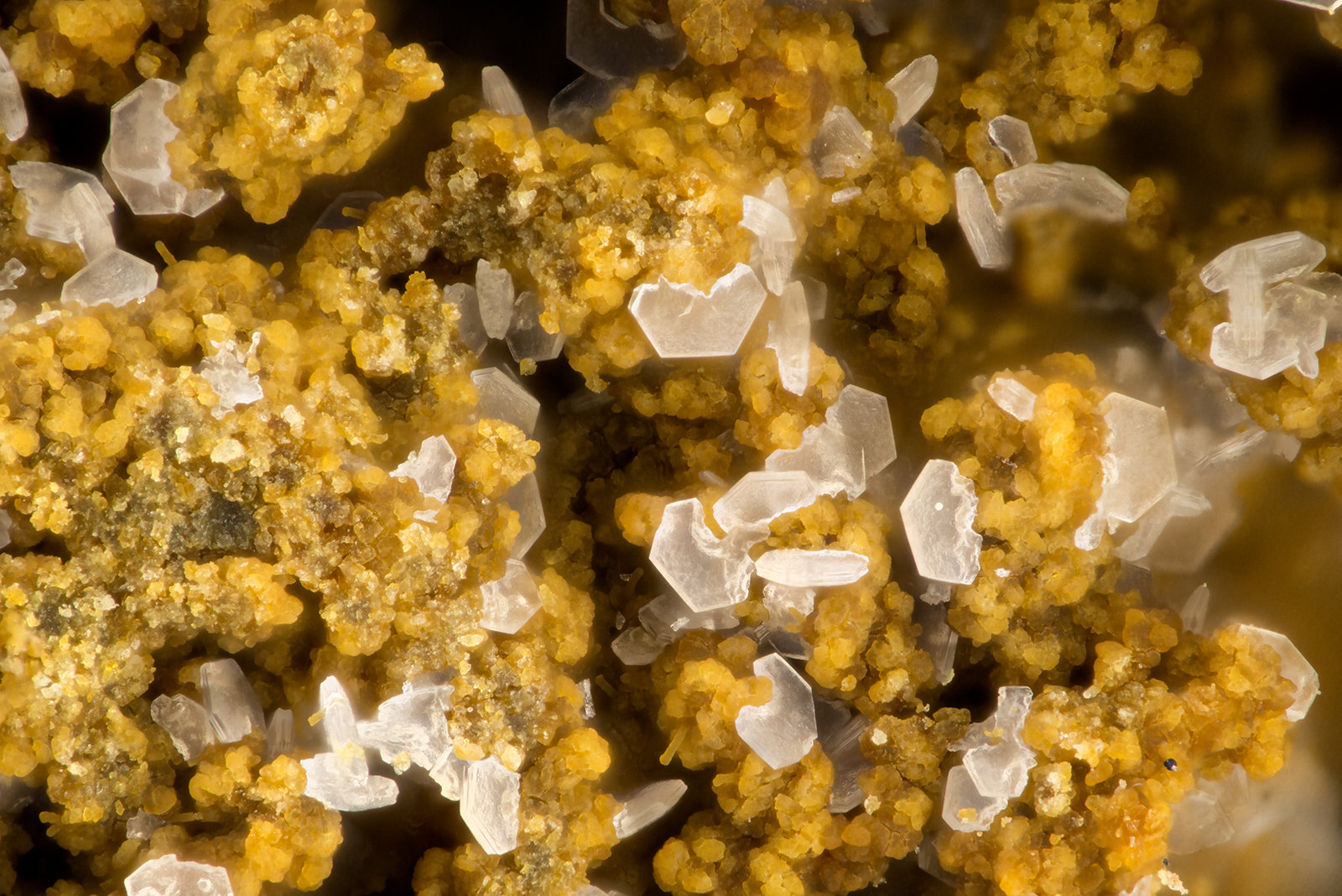 Chabazite-Na
FOV = 1.6 mm
(Autor: Doug)