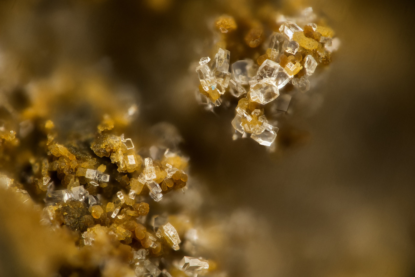 Heulandite-Na
FOV = 1.7 mm
(Autor: Doug)