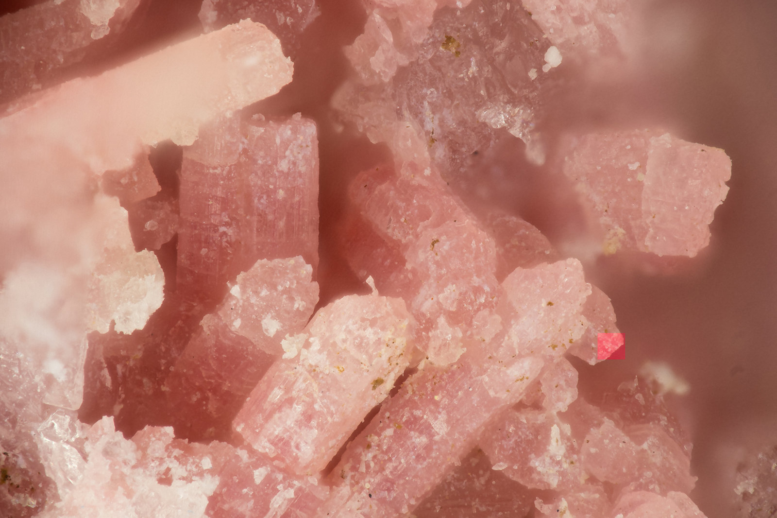 Zoisite
FOV = 1.7 mm
(Autor: Doug)