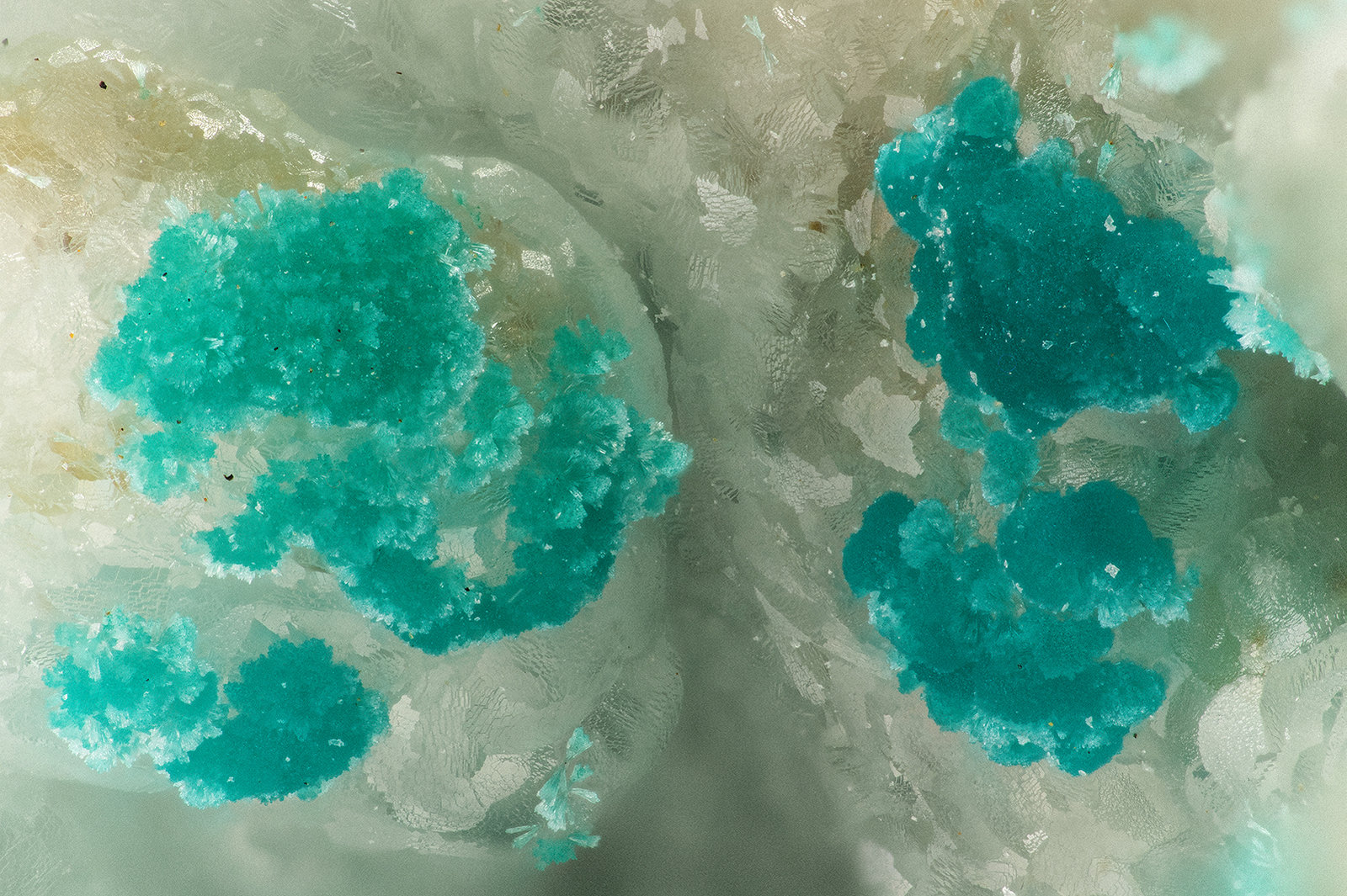 Rosasite
FOV = 3.1 mm
(Autor: Doug)