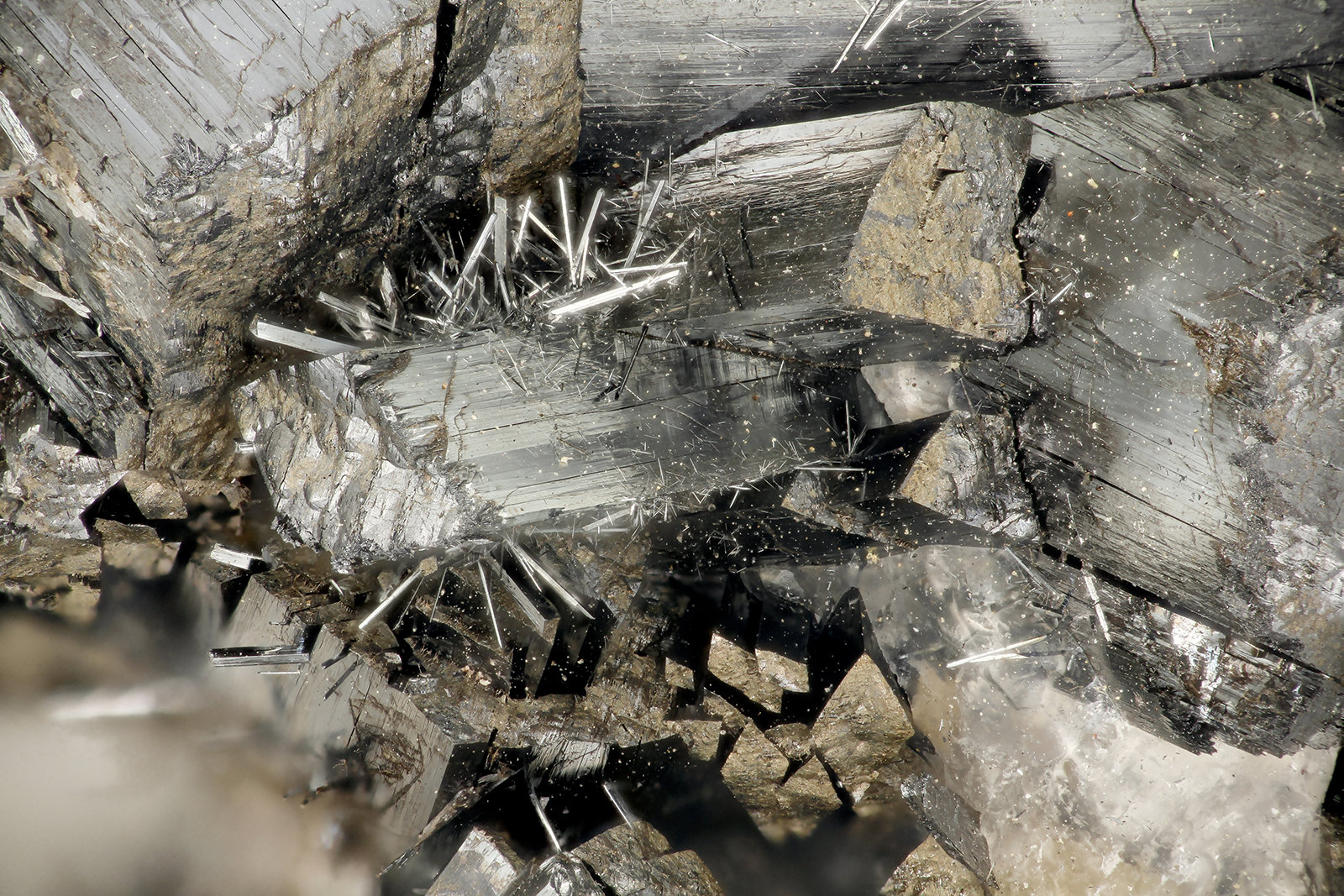 Ramsdellite
FOV = 3.8 mm
(Autor: Doug)