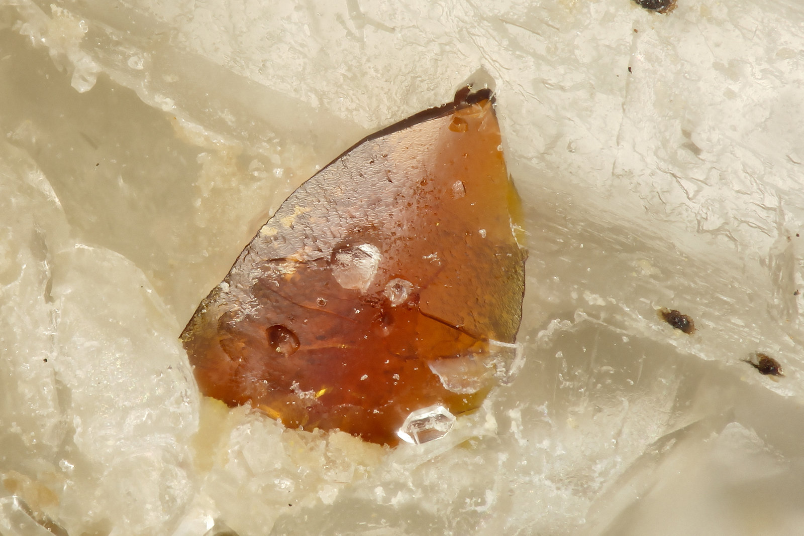 Descloizite
FOV = 0.9 mm
(Autor: Doug)