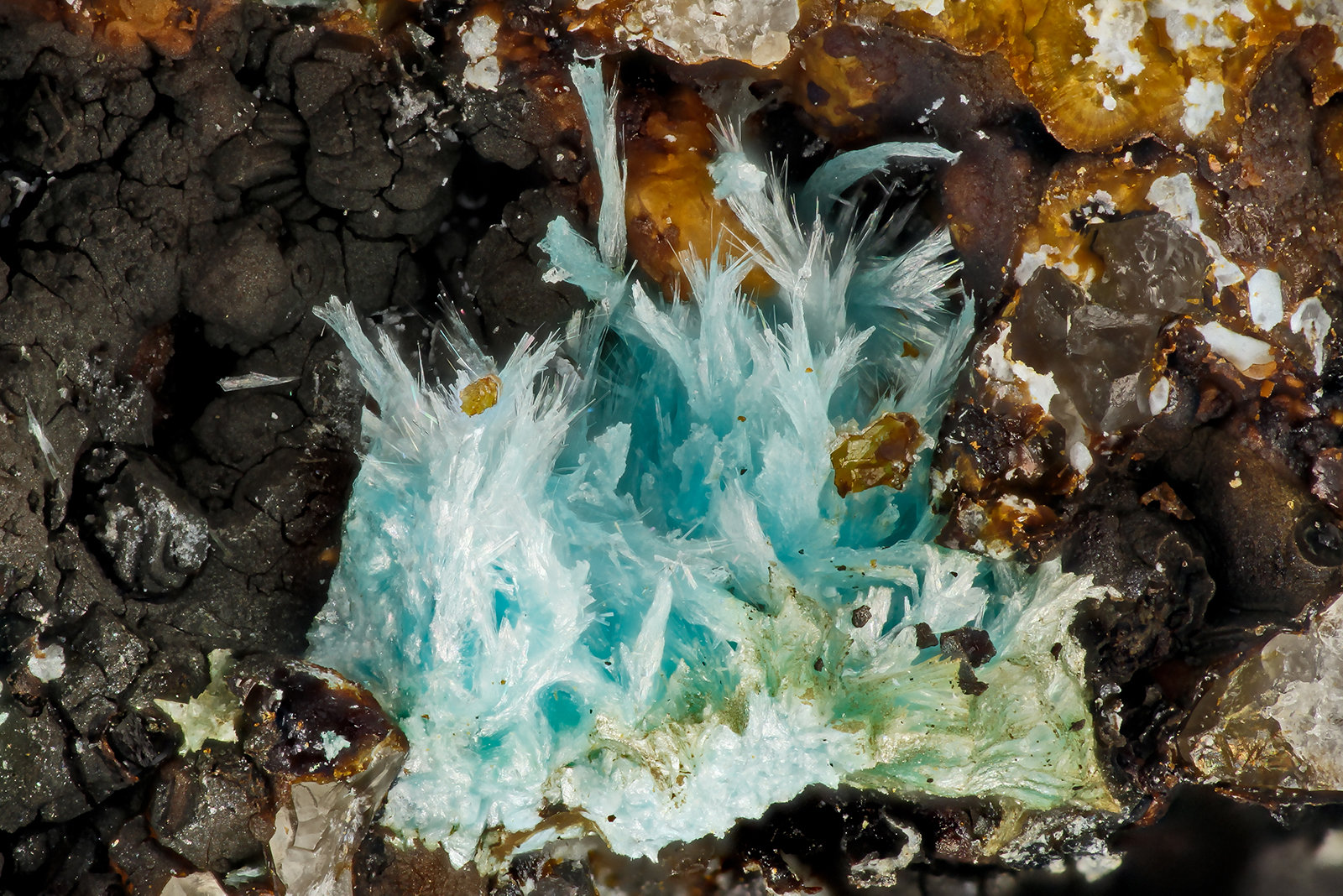 Aurichalcite
FOV = 3.1 mm
(Autor: Doug)