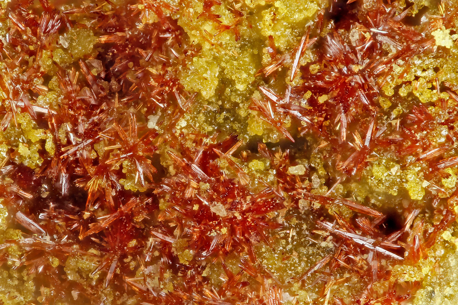 Carminite, Beudantite
FOV = 1.2 mm
(Autor: Doug)