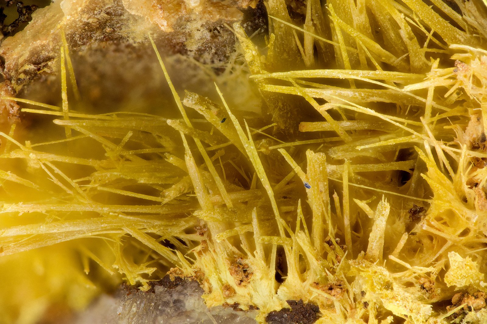 Ferrimolybdite
FOV = 3.8 mm
(Autor: Doug)