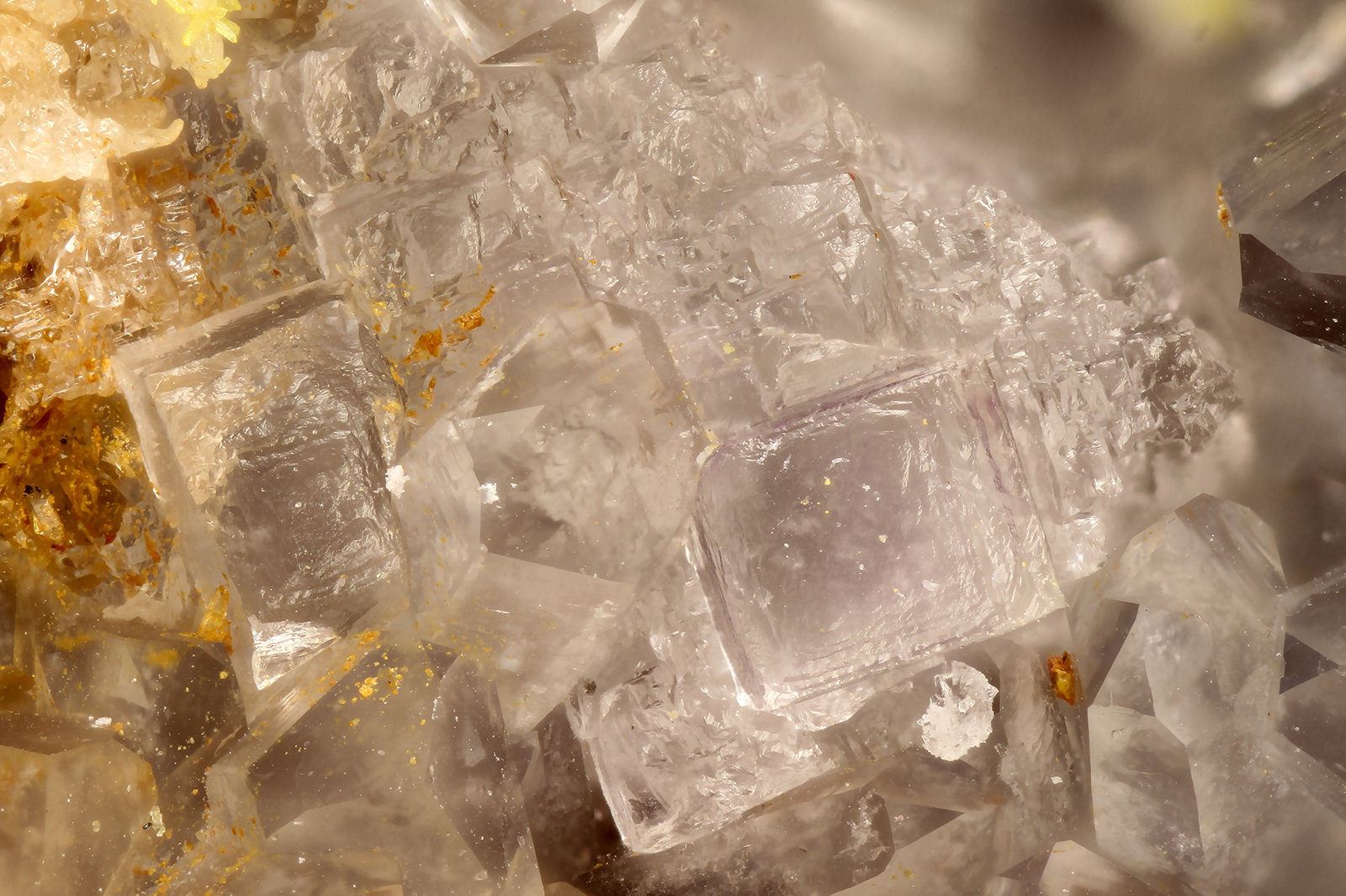 Fluorite
FOV = 2.9 mm
(Autor: Doug)