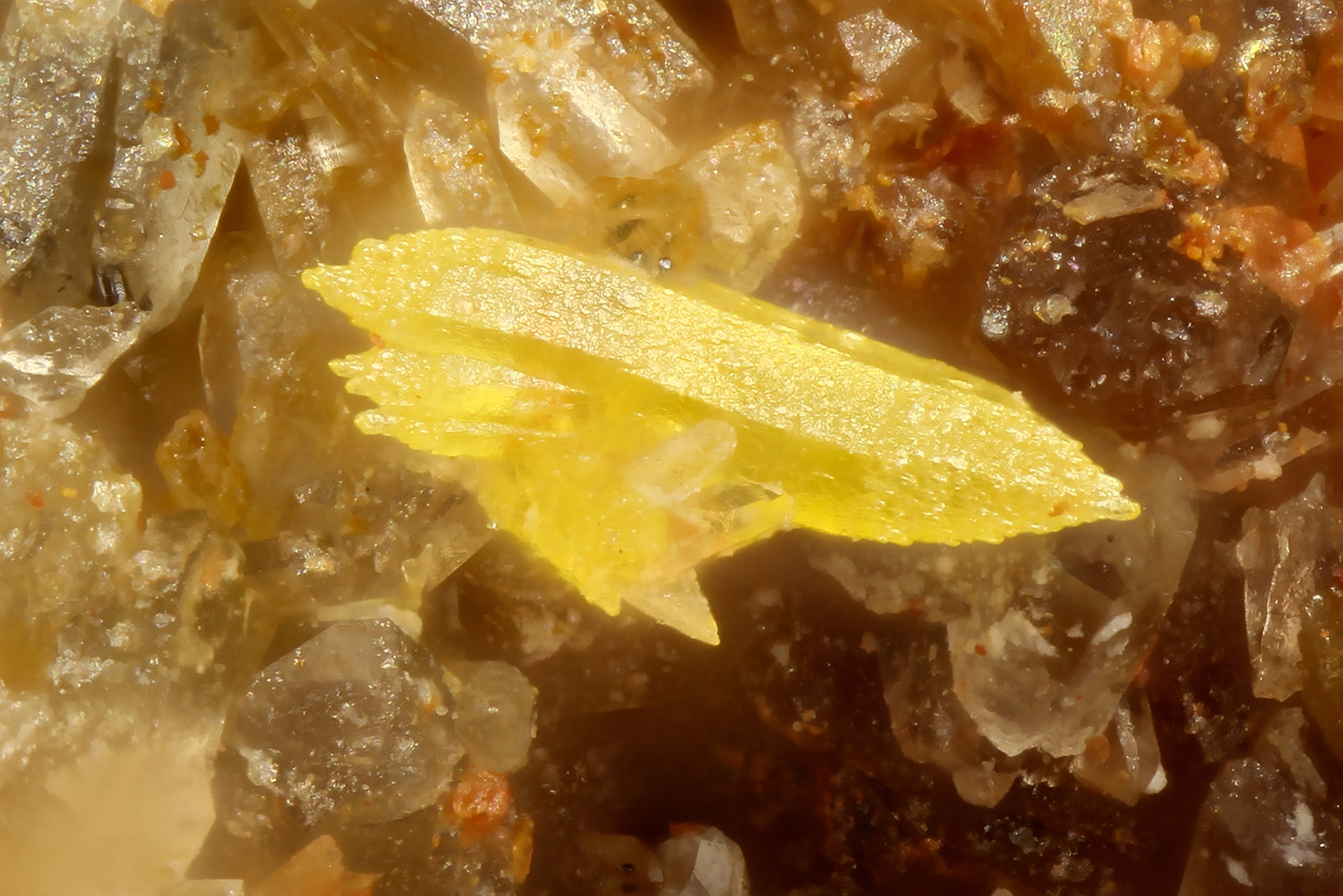Pyromorphite
FOV = 0.8 mm
(Autor: Doug)