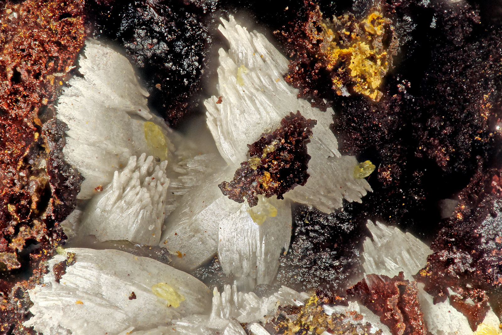 Vanadinite
FOV = 1.5 mm
(Autor: Doug)