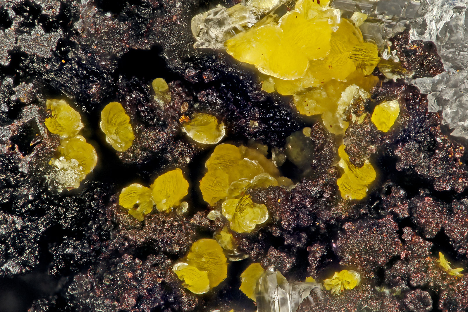 Descloizite
FOV = 1.5 mm
(Autor: Doug)