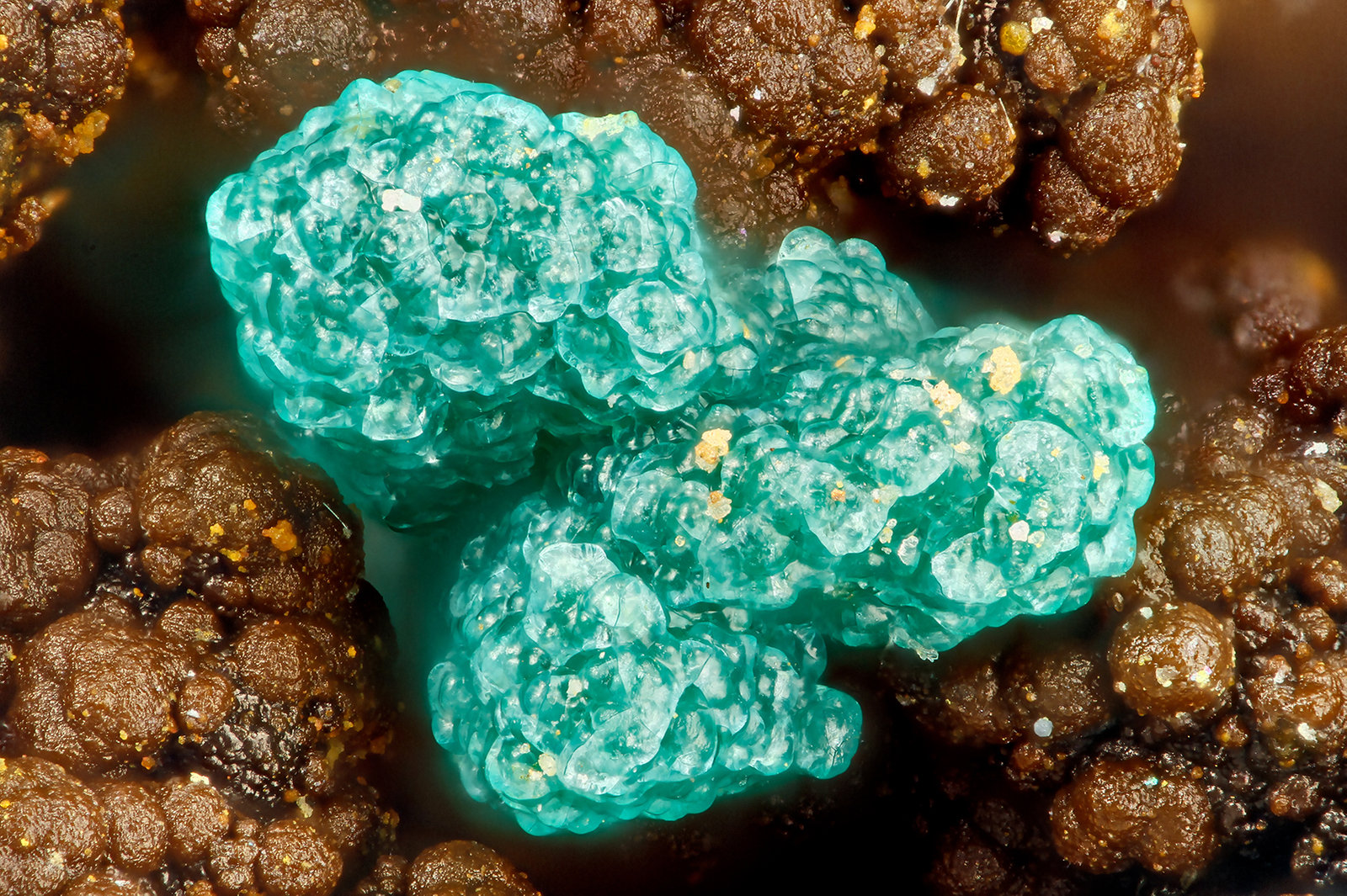 Chrysocolla
FOV = 1.7 mm
(Autor: Doug)