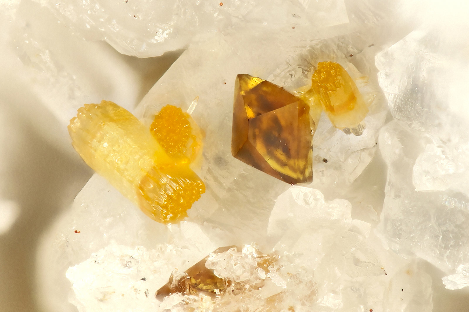 Wulfenite, Vanadinite
FOV = 0.9 mm
(Autor: Doug)