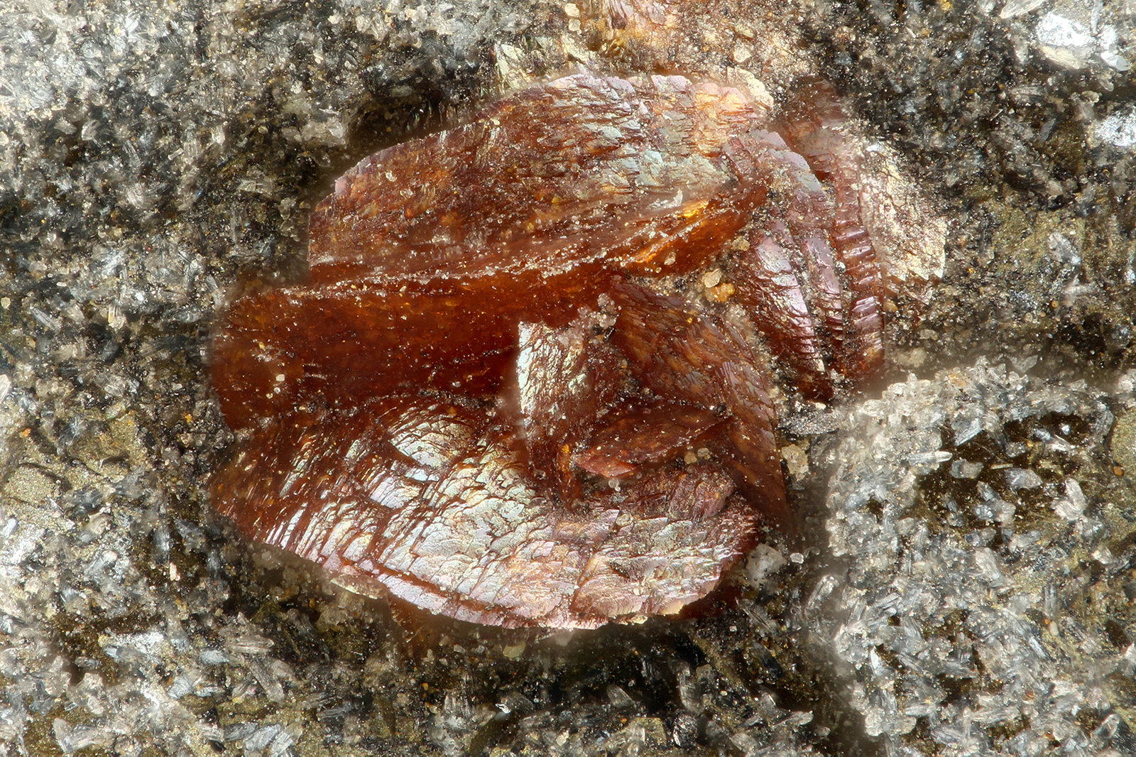 Siderite, Magnetite
FOV = 1.2 mm
(Autor: Doug)