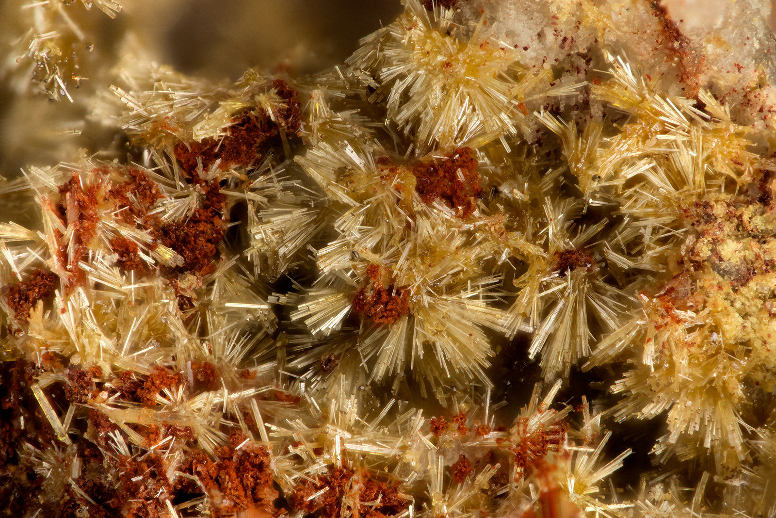 Mimetite
FOV = 1.8 mm
(Autor: Doug)