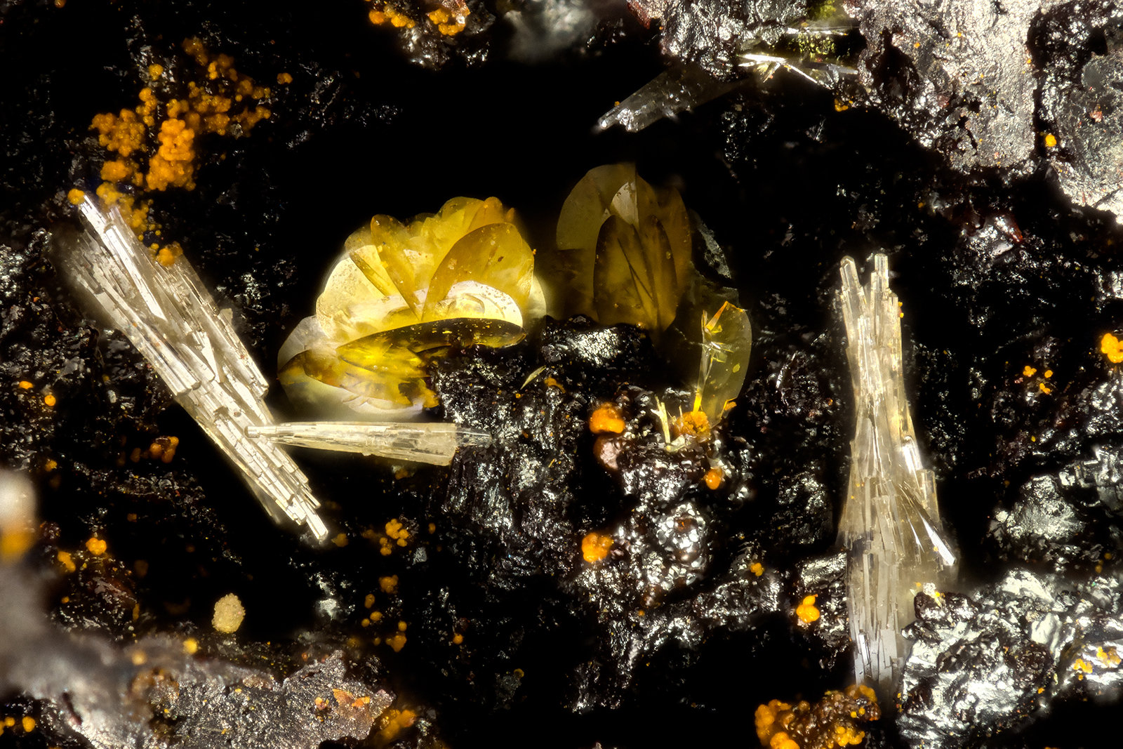 Vanadinite, Descloizite
FOV = 1.2 mm
(Autor: Doug)