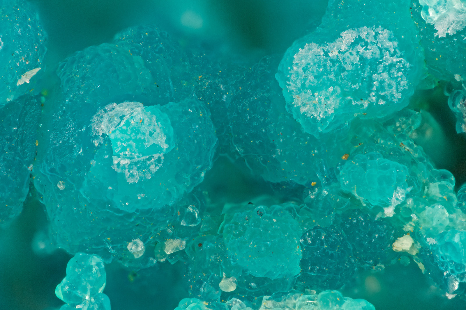 Chrysocolla
FOV = 1.8 mm
(Autor: Doug)