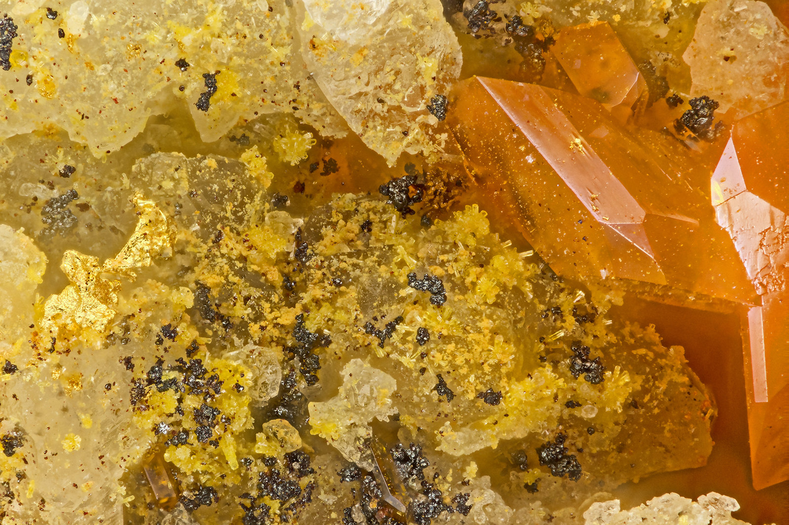 Gold, Wulfenite, Mimetite
FOV = 1.7 mm
(Autor: Doug)