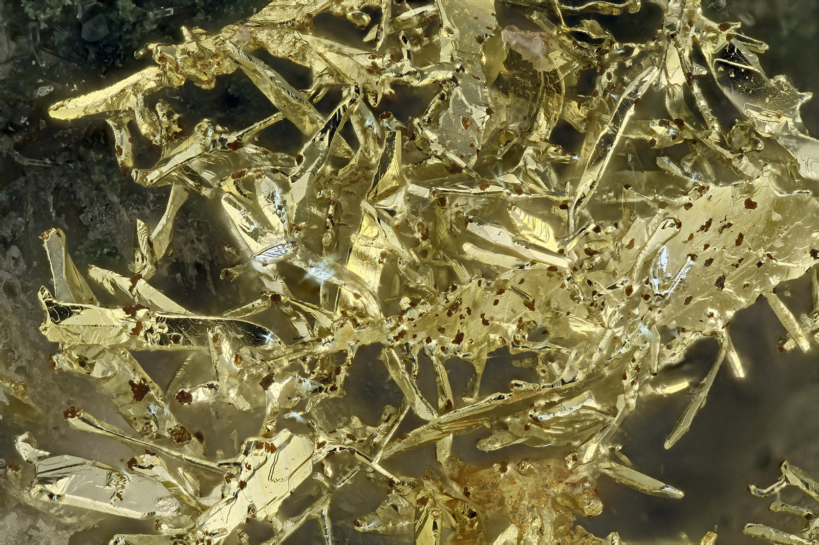Gold
FOV = 4.0 mm
(Autor: Doug)