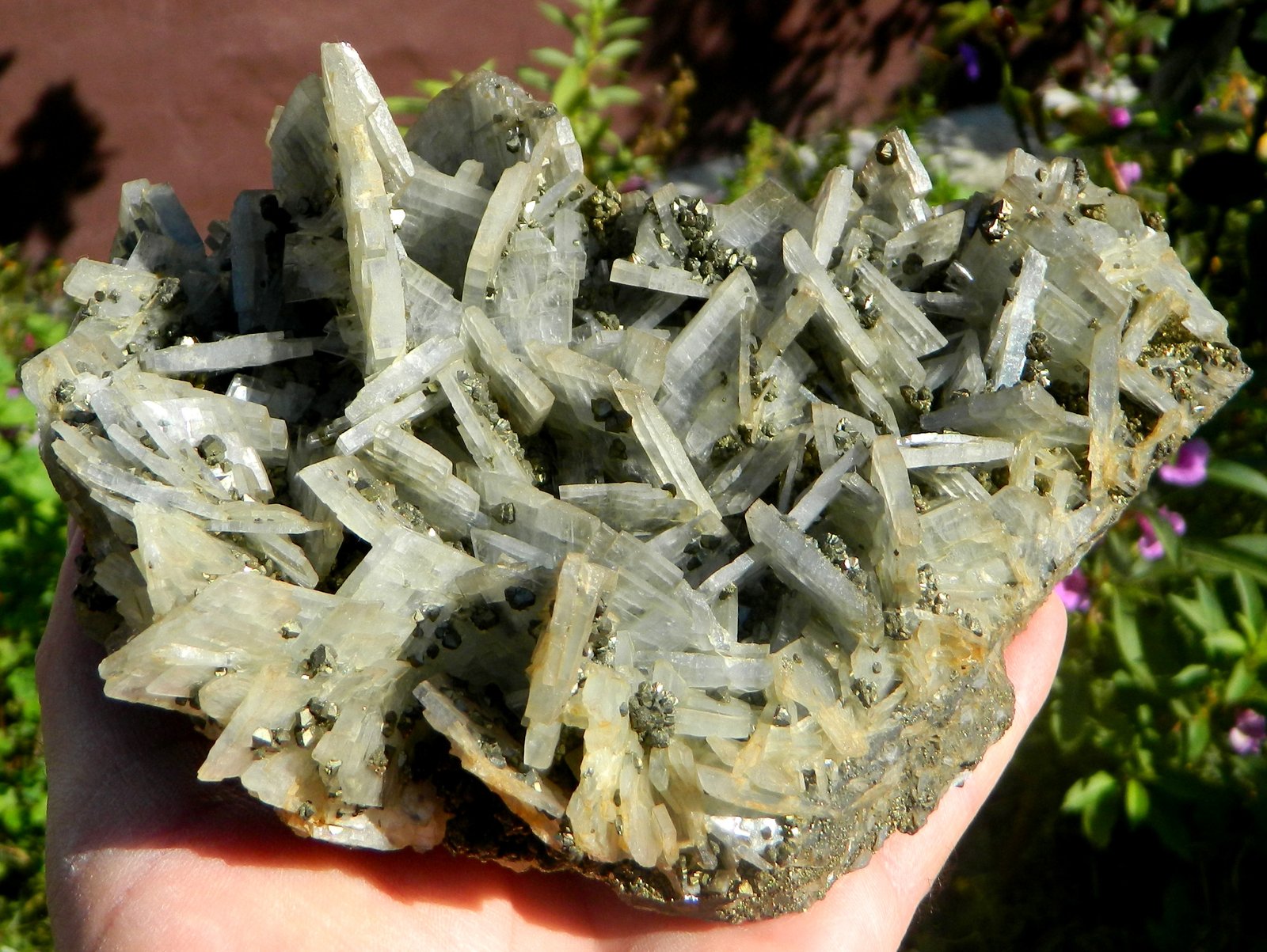 Barite and Pyrite
17 x 14 cm
(Autor: Deyu)