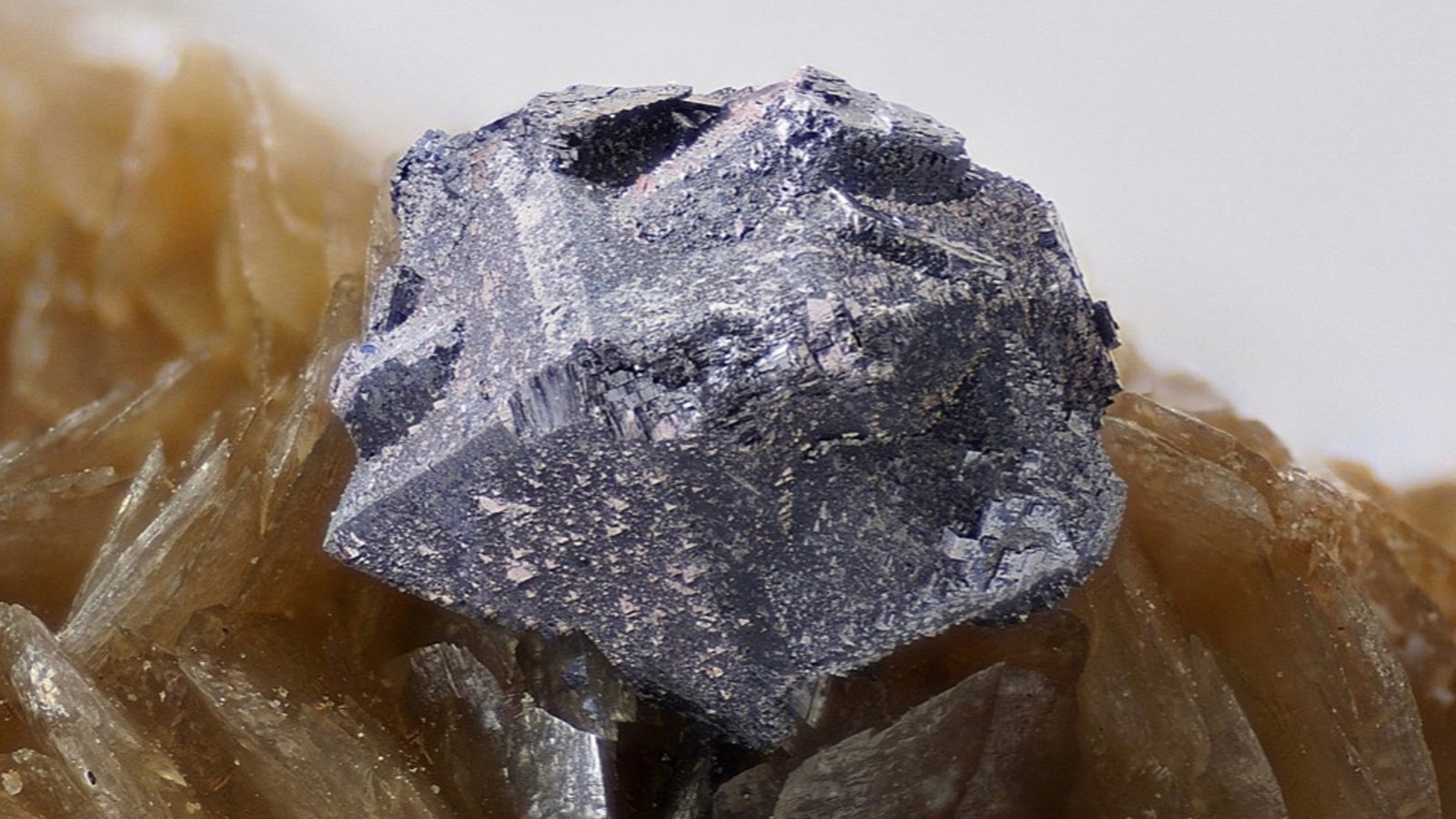 Galena
FOV 4mm
(Autor: david916)