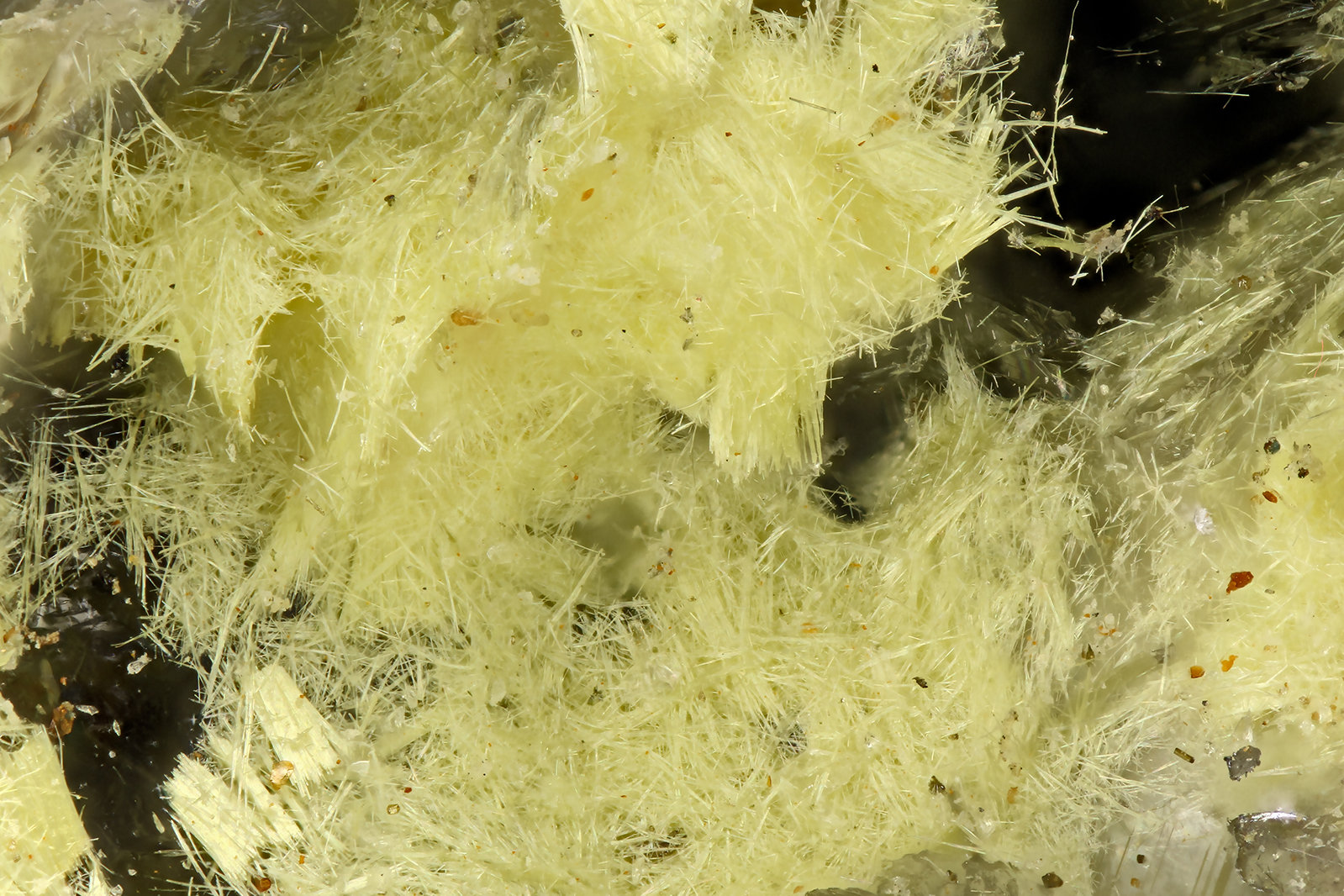 Ferrimolybdite
FOV = 1.7 mm
(Autor: Doug)