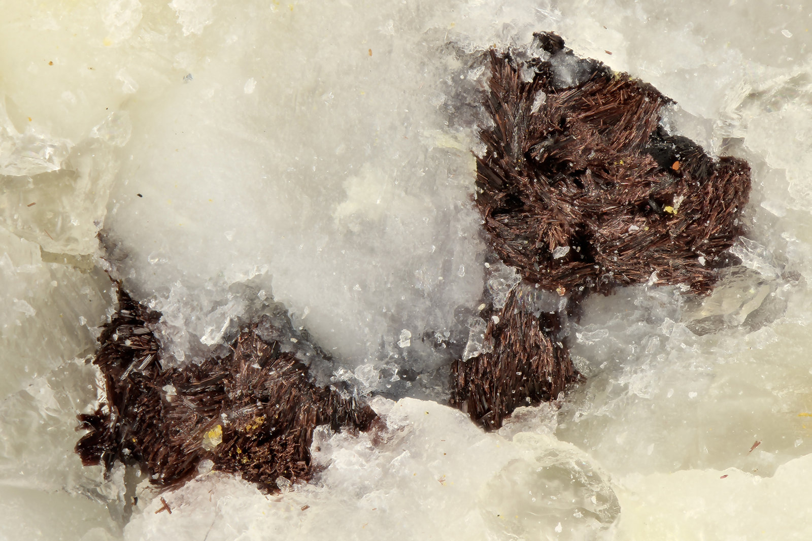 Aenigmatite
FOV = 1.6 mm
(Autor: Doug)