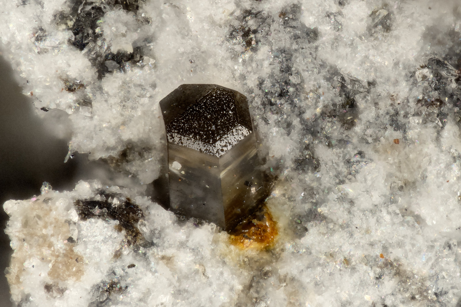 Brianyoungite, Pyromorphite
FOV = 1.1 mm
(Autor: Doug)