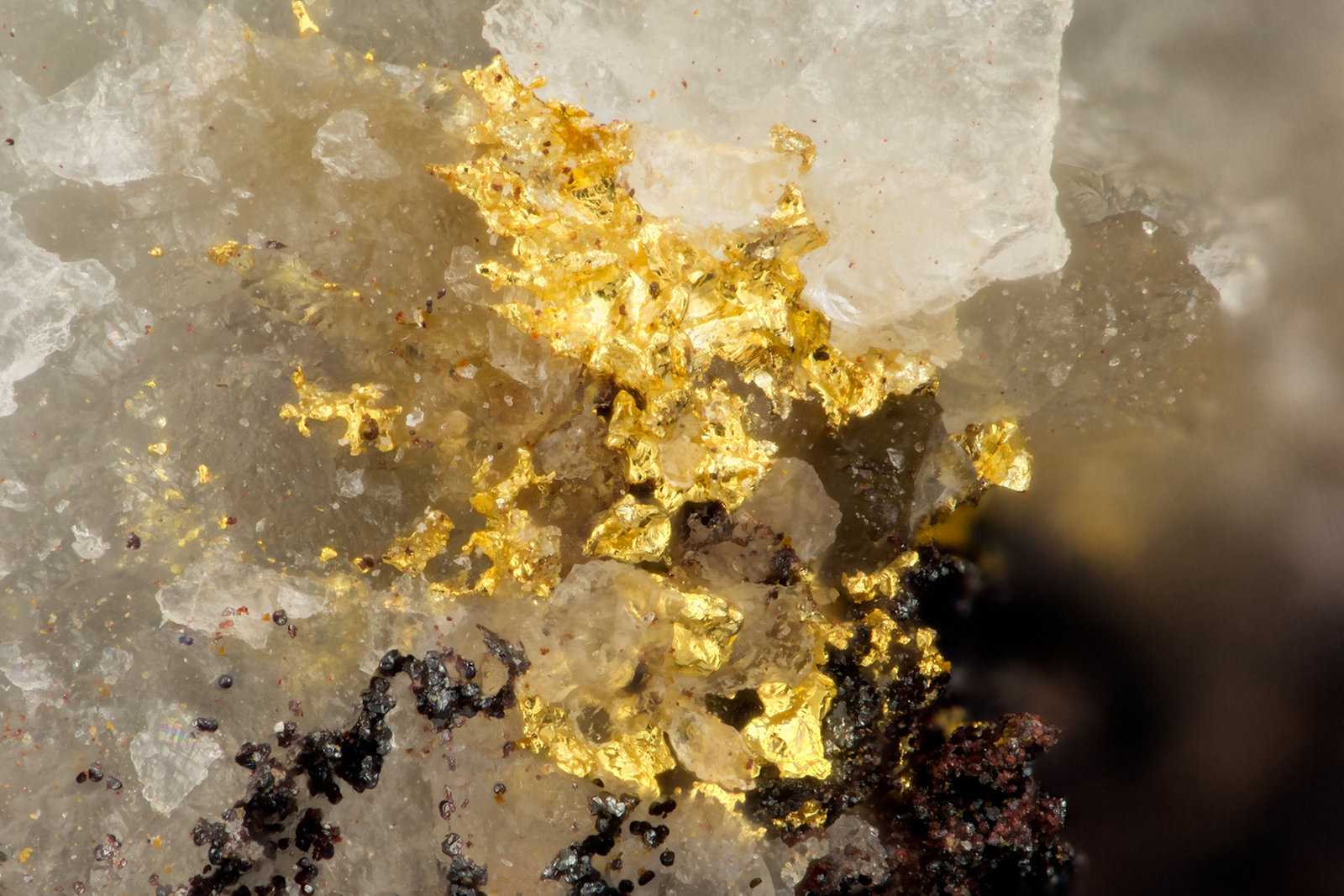 Gold
FOV = 1.2 mm
(Autor: Doug)