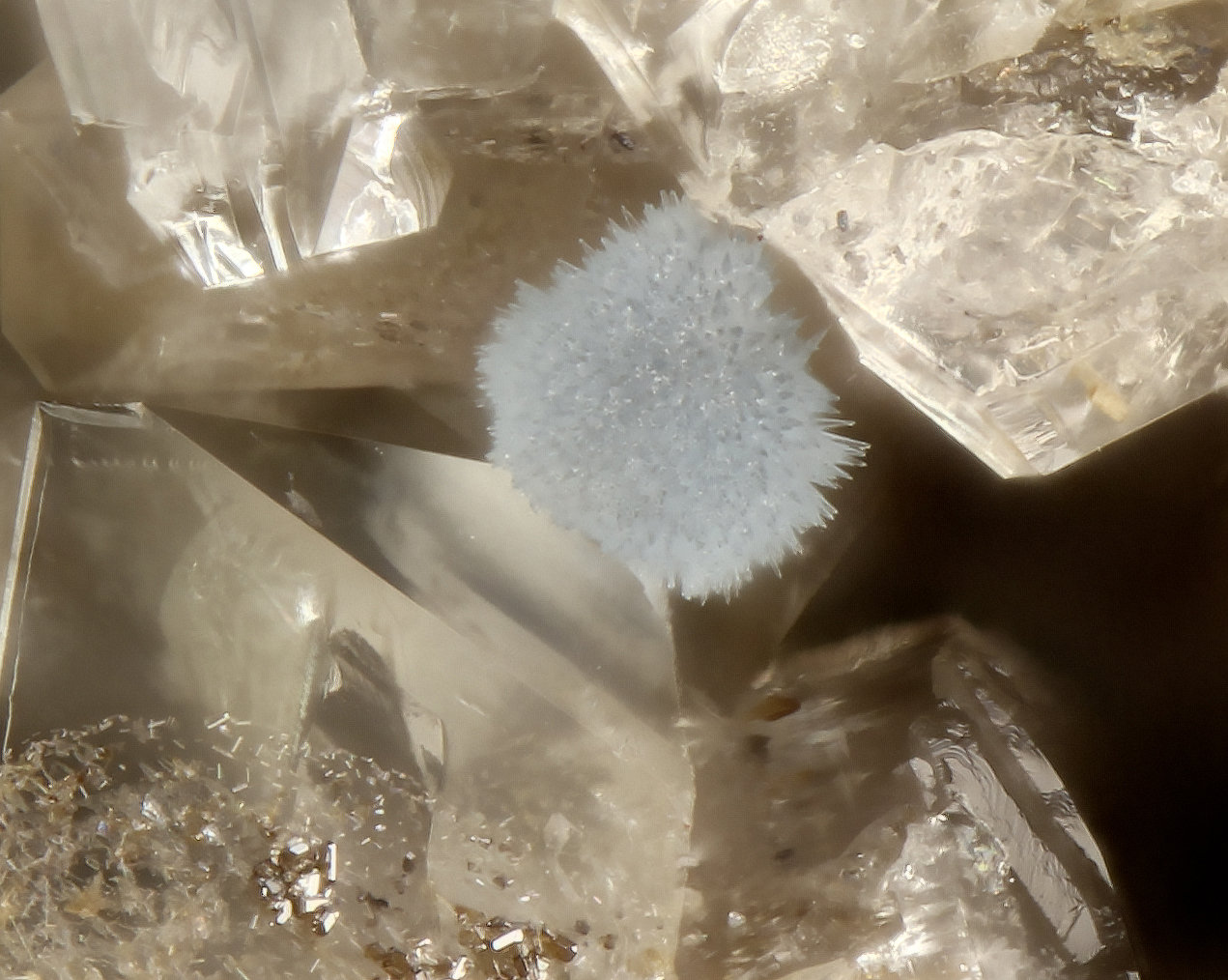 Jeremevite
FOV = 0.5 mm
(Autor: Doug)