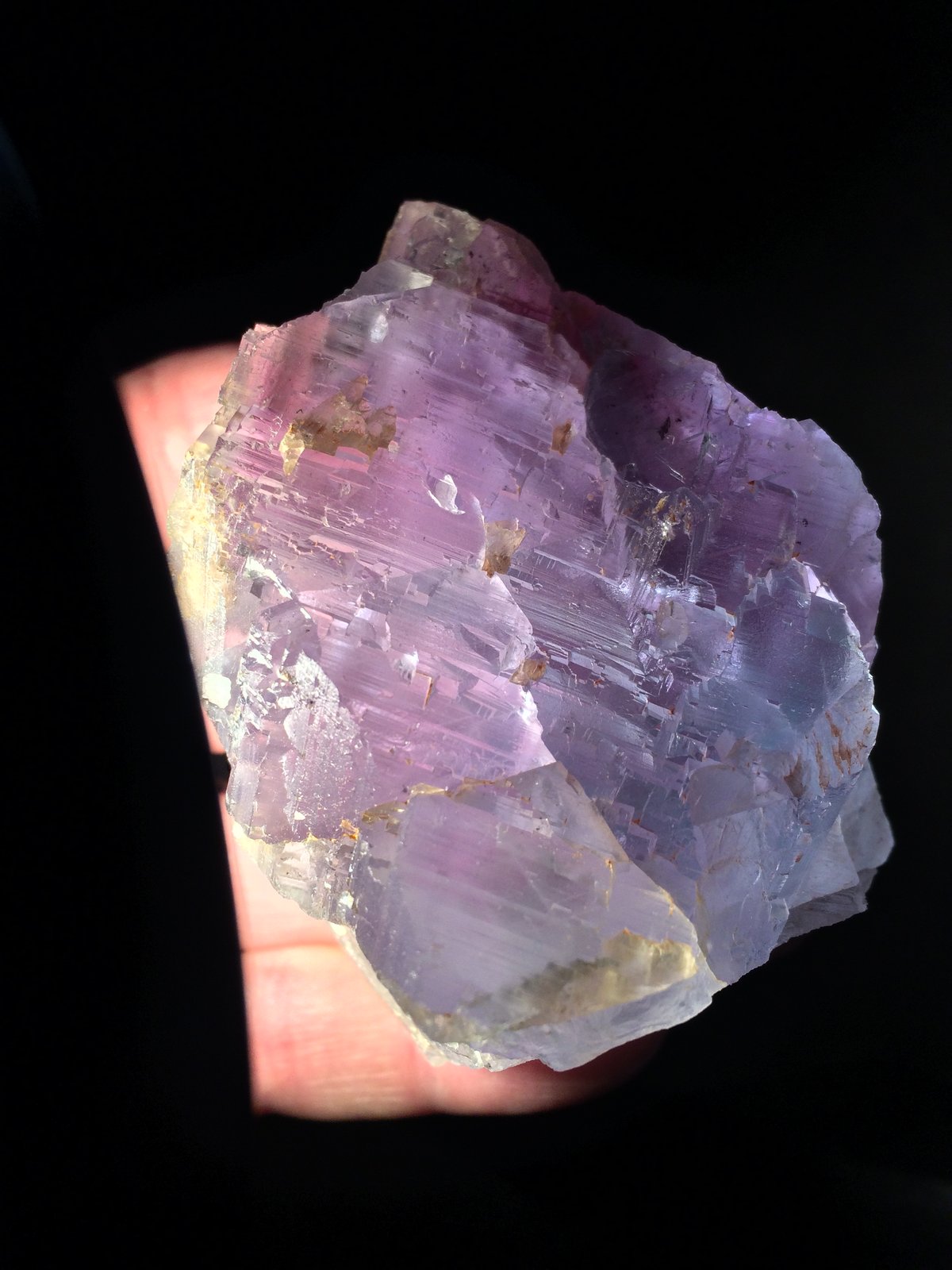Fluorite
72 mm X 68 mm X 68 mm
(Autor: Robert Seitz)