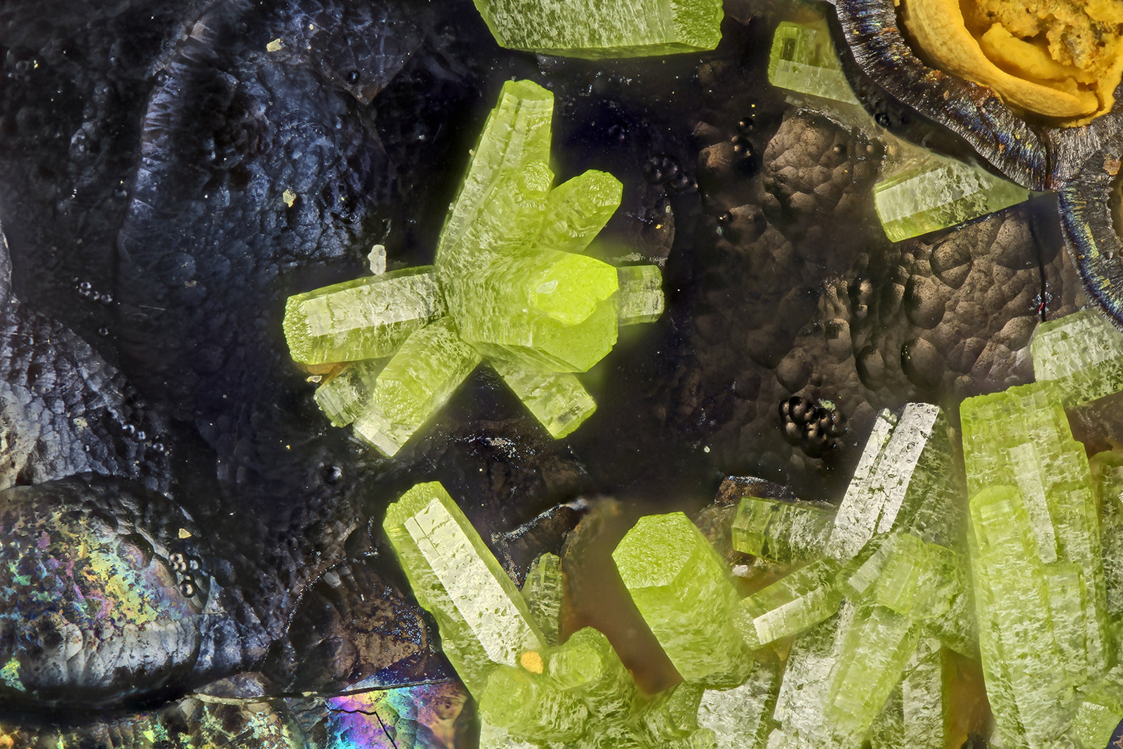 Pyromorphite
FOV = 1.9 mm
(Autor: Doug)