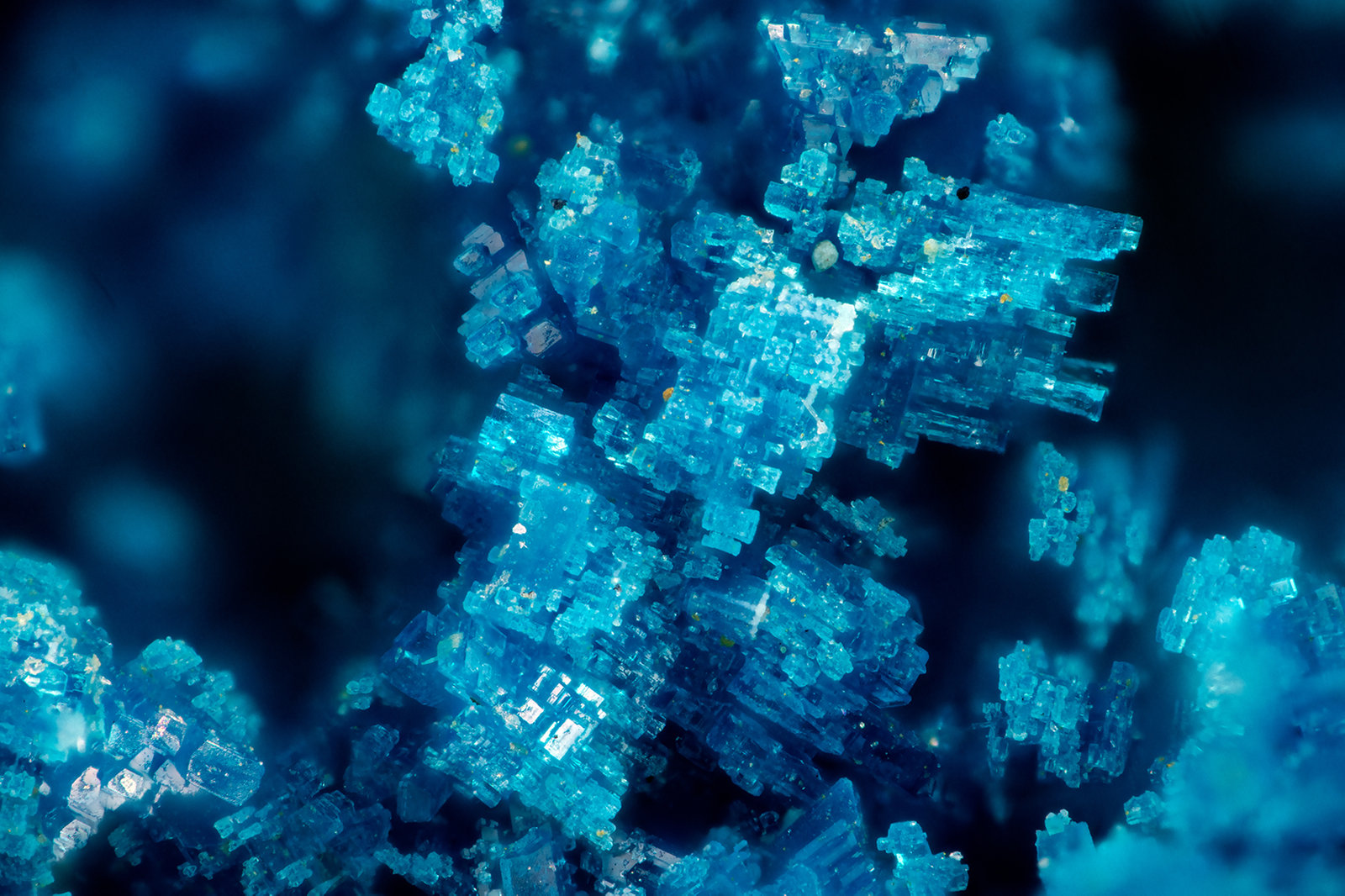 Langite
FOV = 1.6 mm
(Autor: Doug)