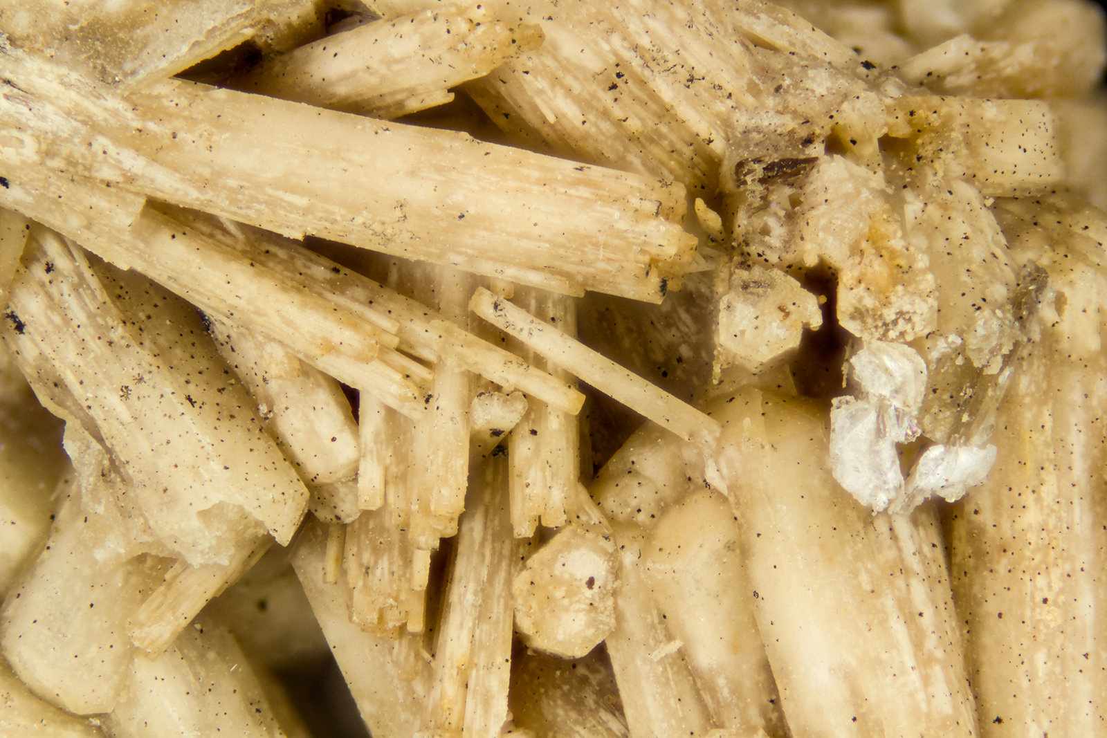 Rhadophane-(Ce)
FOV = 4.0 mm
(Autor: Doug)