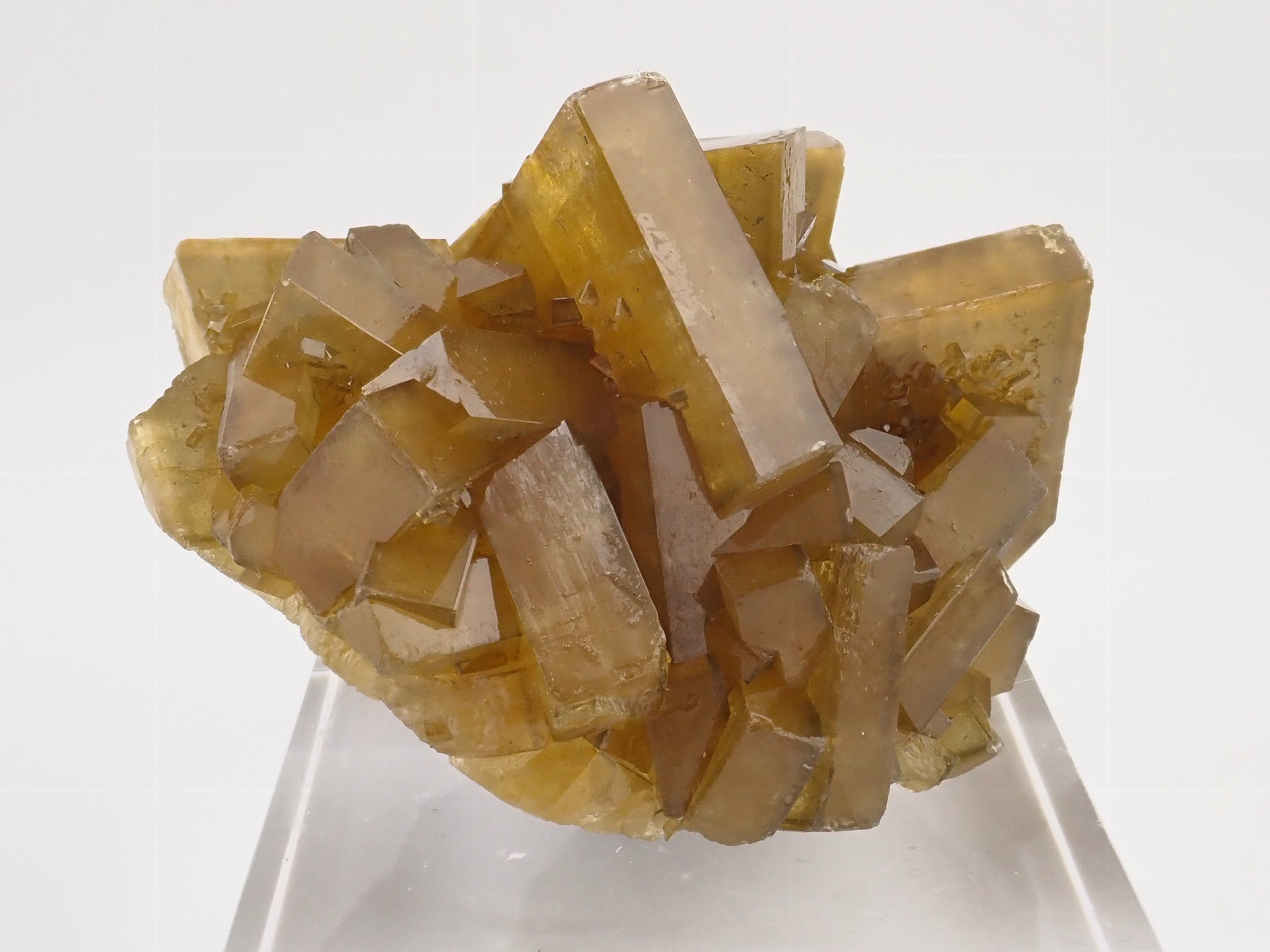 75 mm x 55 mm, main crystal: 28 mm on edge, mass: 268 g
(Autor: Carles Millan)
