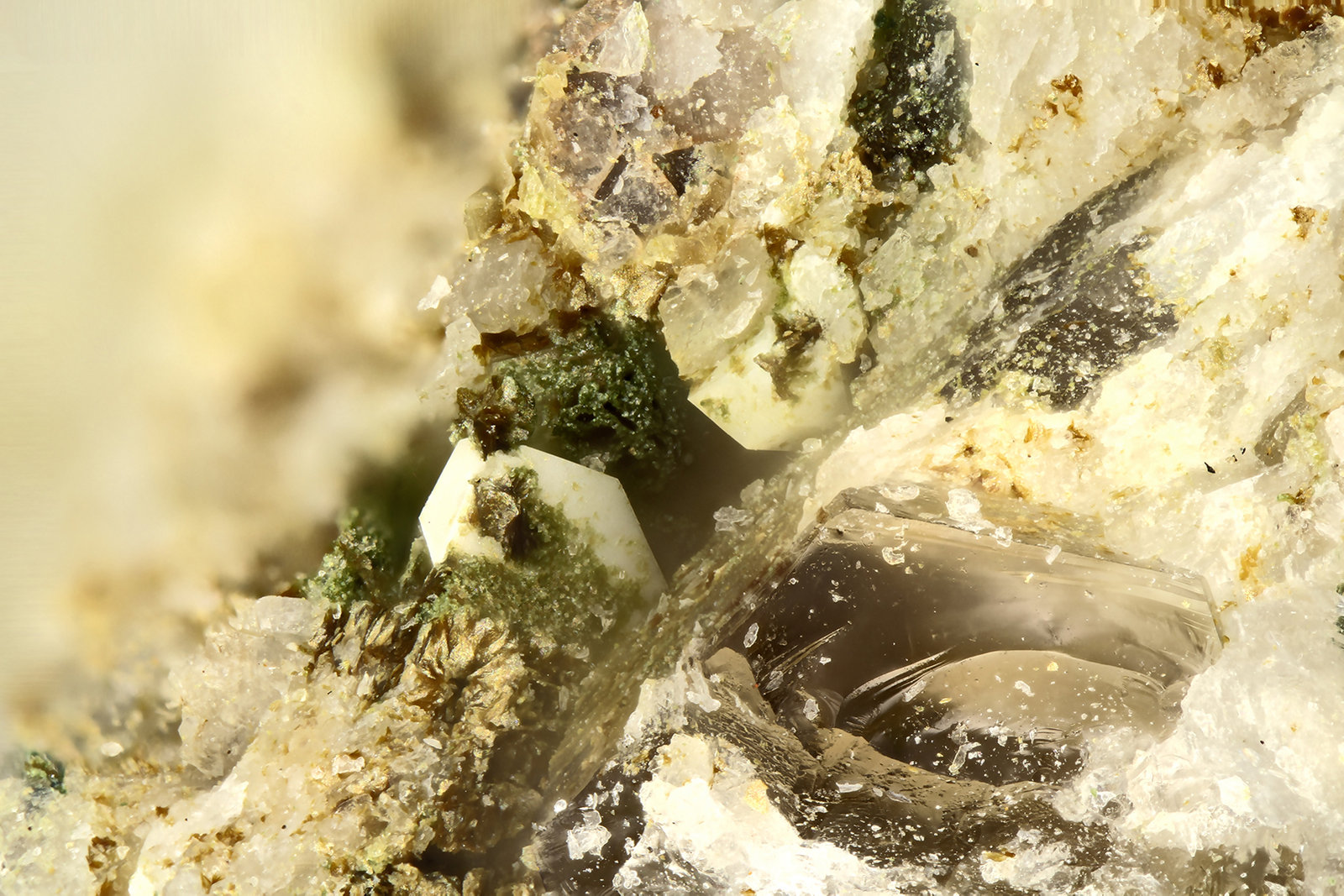 Calciohilairite
FOV = 2.0 mm
(Autor: Doug)