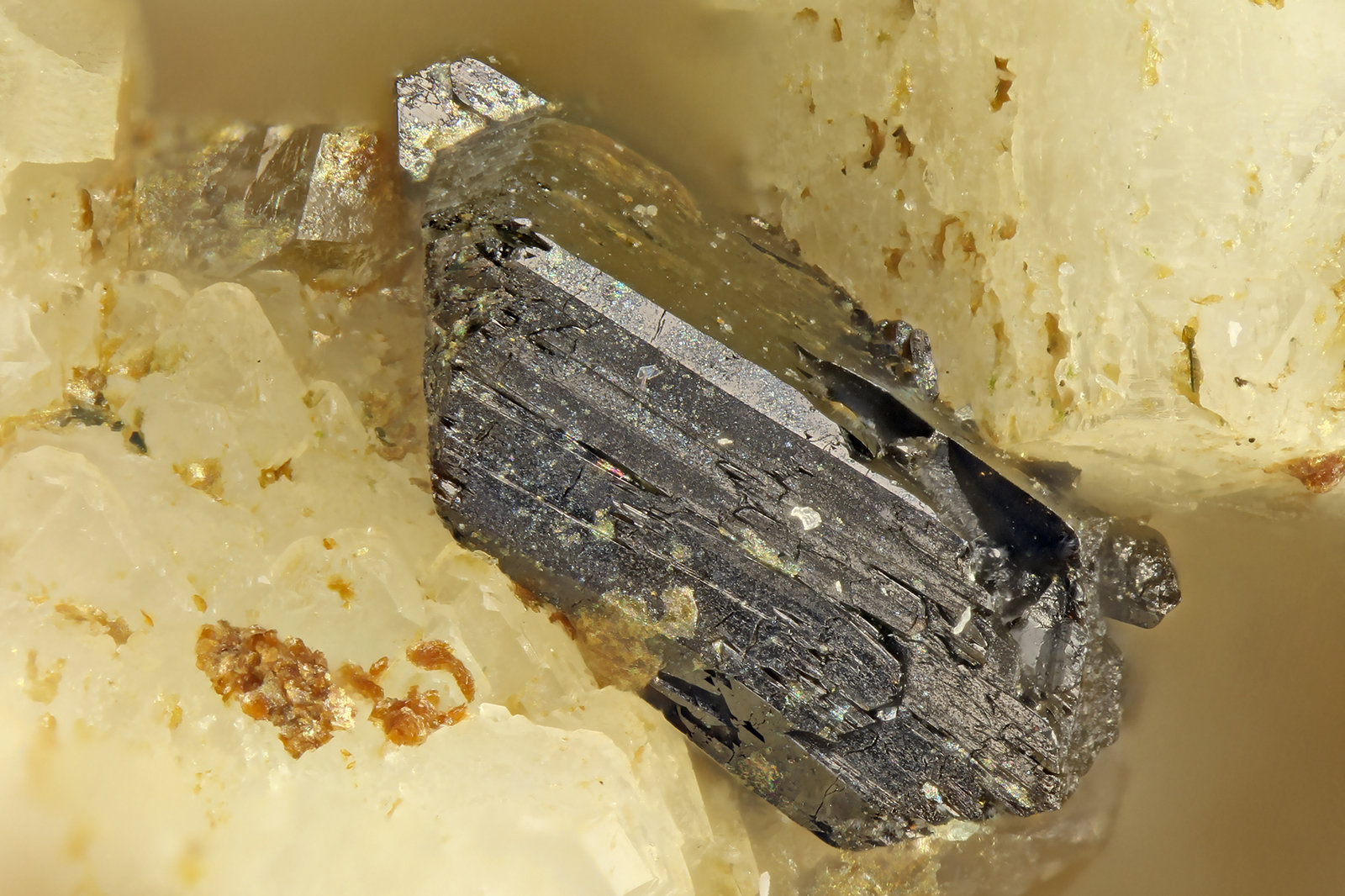Allanite-(Ce)
FOV = 2.0 mm
(Autor: Doug)