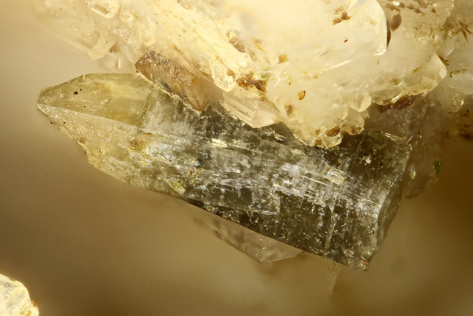 Gadolinite-(Y)
FOV = 2.0 mm
(Autor: Doug)