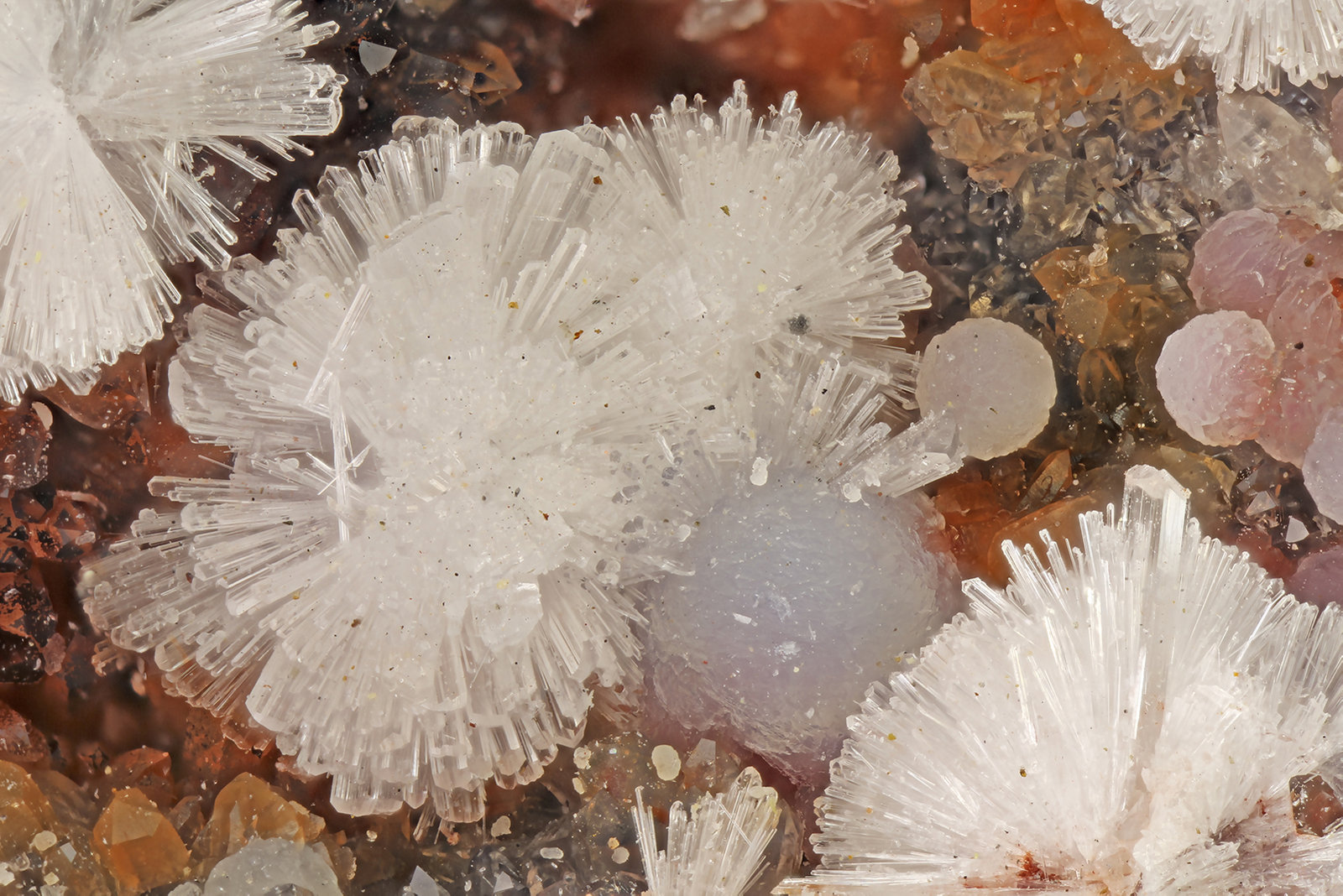 Wavellite, Variscite
FOV = 4.0 mm
(Autor: Doug)