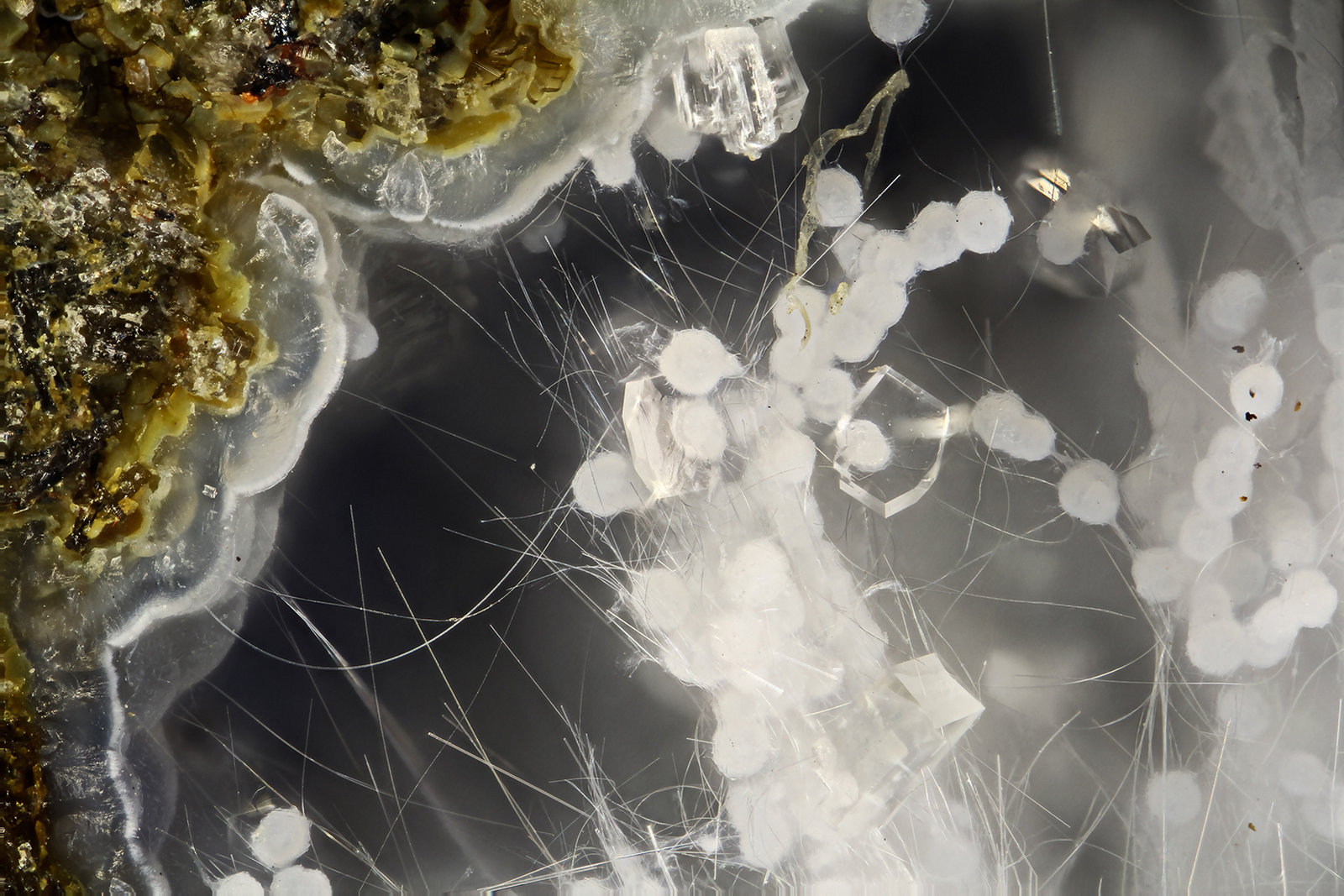 Clinoptilolite-Ca, Mordenite, Erionite-Ca
FOV = 2.0 mm
(Autor: Doug)