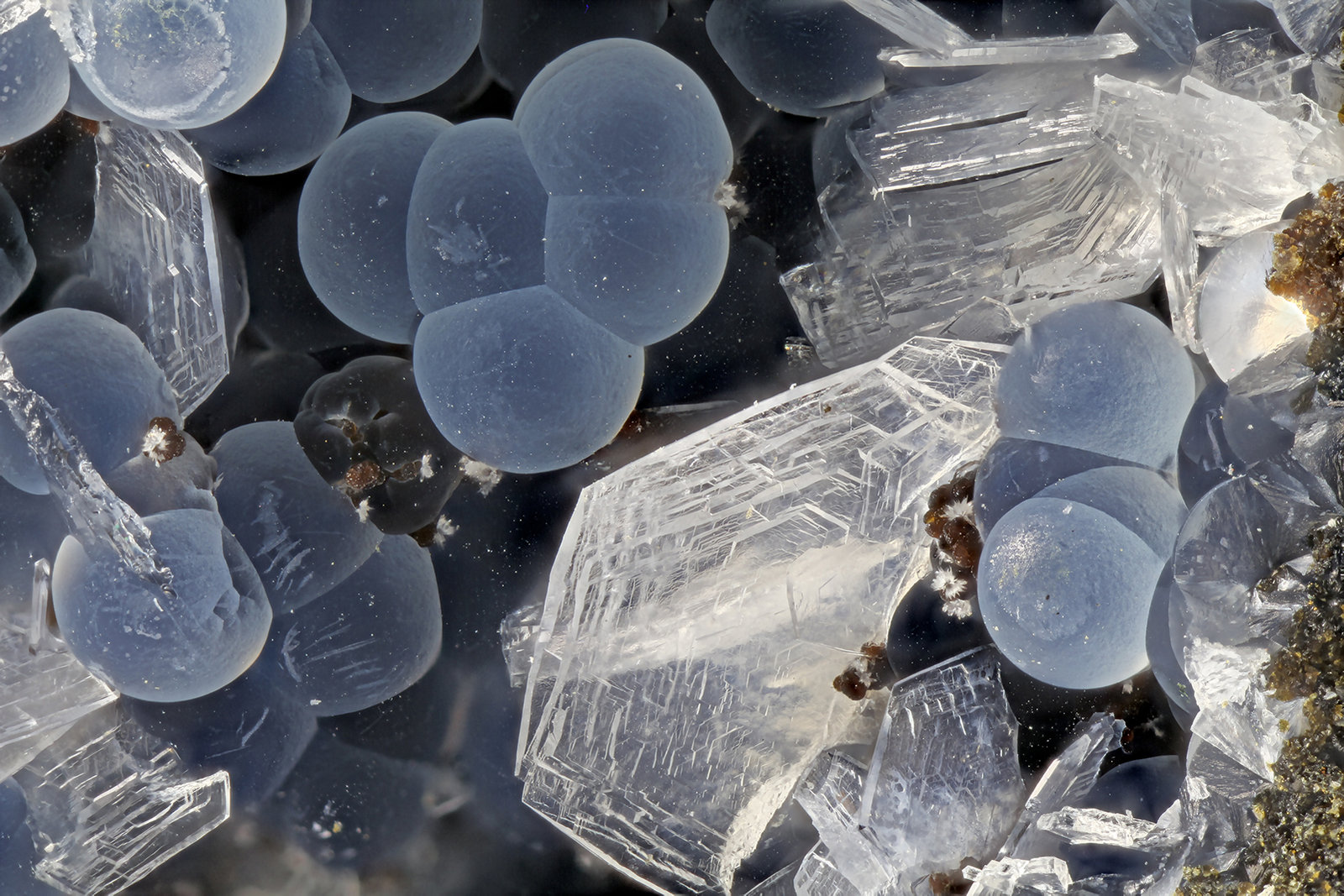 Levyne, Thomsonite-CA
FOV = 4.0 mm
(Autor: Doug)