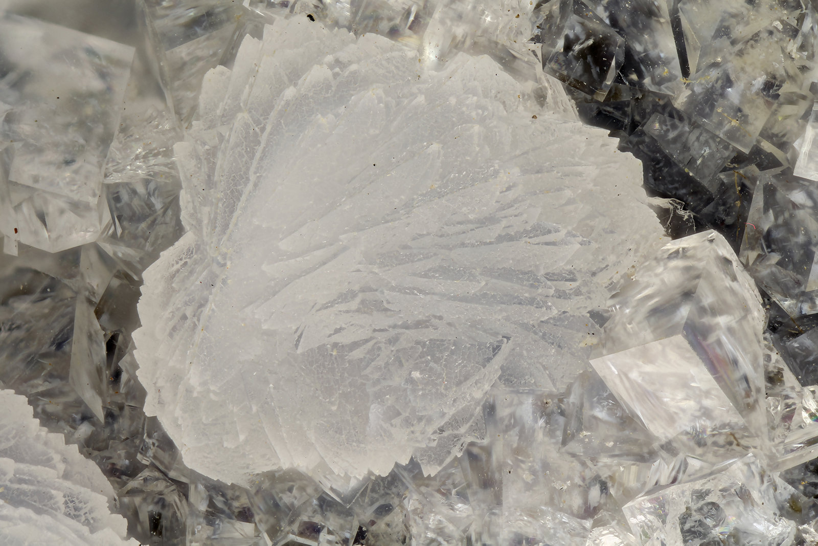 Gismondine, Chabazite
FOV = 4.0 mm
(Autor: Doug)