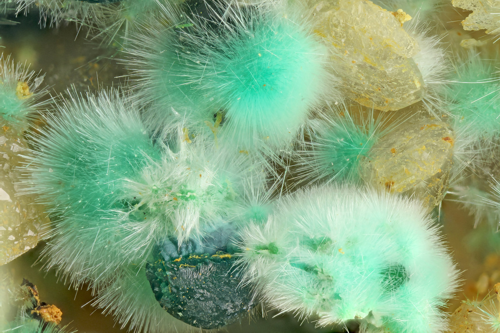 Mixite, Cornwallite
FOV = 4.0 mm
(Autor: Doug)