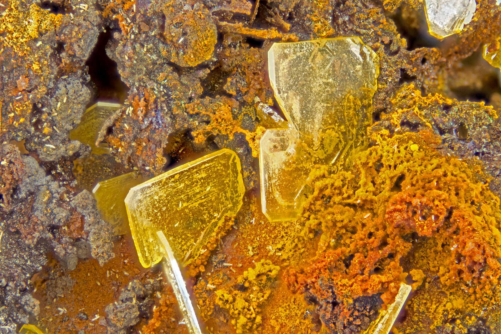 Wulfenite
FOV = 4.0 mm
(Autor: Doug)
