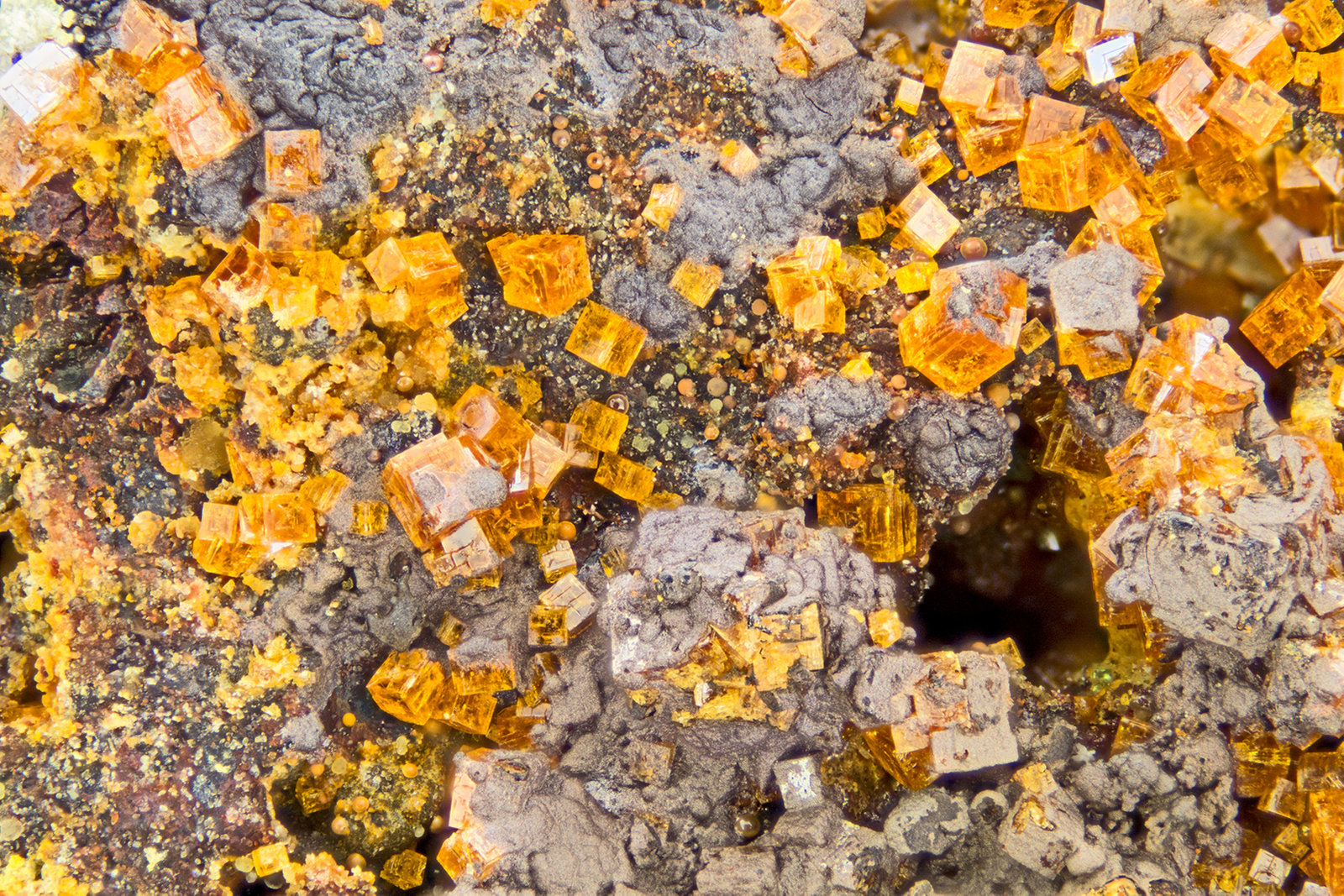 Natropharmacosiderite
FOV = 4.00 mm
(Autor: Doug)