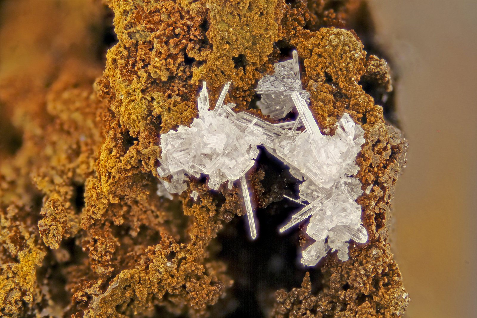 Cerussite
FOV = 4.0 mm
(Autor: Doug)