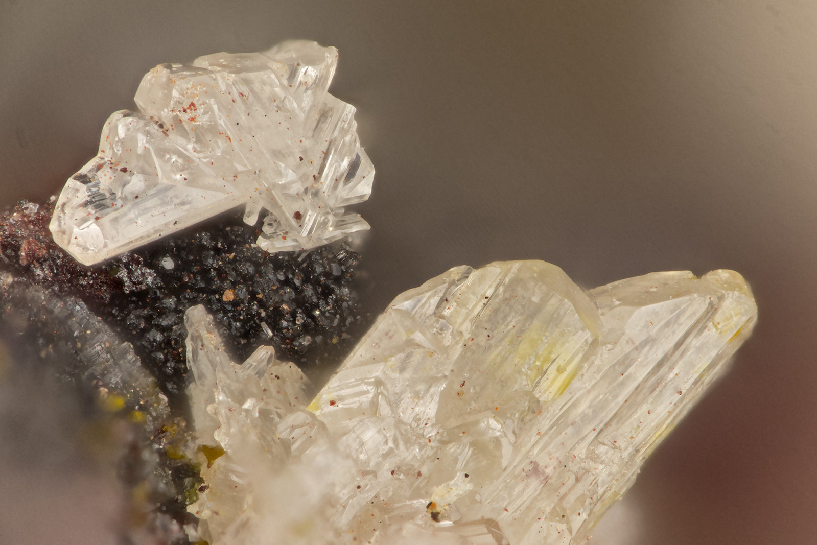 Cerussite
FOV = 1.5 mm
(Autor: Doug)