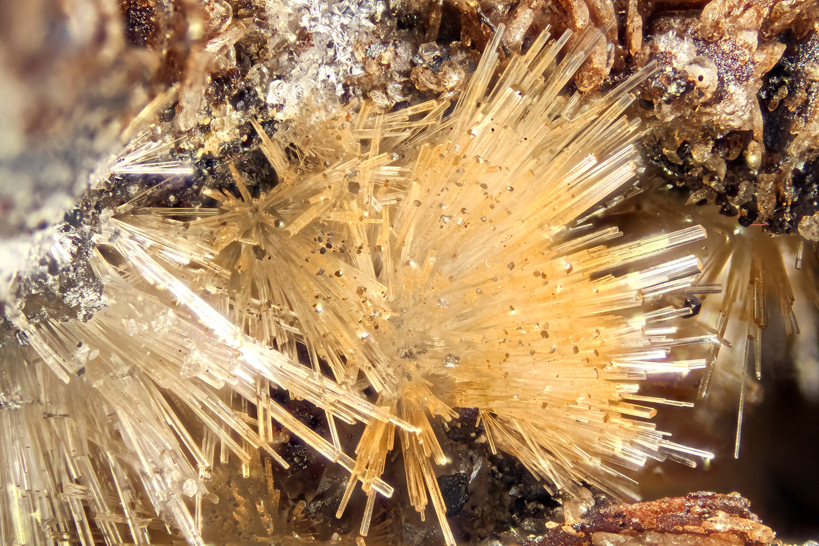 Willemite
FOV = 4.0 mm
(Autor: Doug)