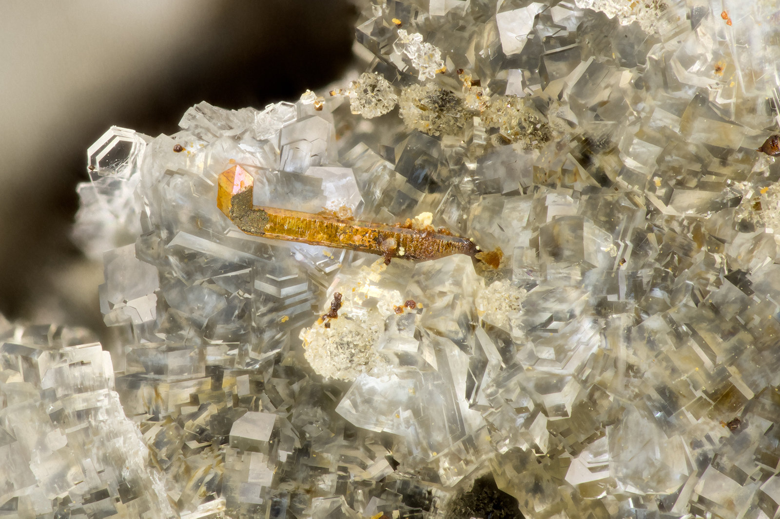Pyrite, Clinoptilolite-Na
FOV = 2.7 mm
(Autor: Doug)