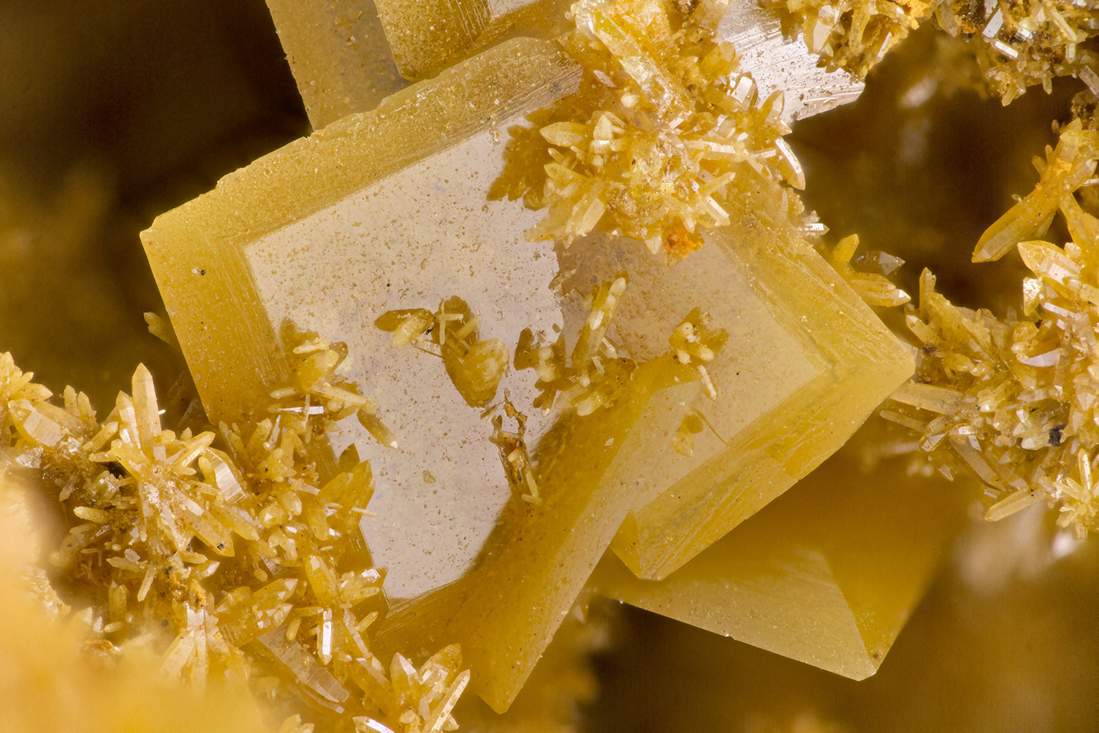 Wulfenite, Mimetite
FOV = 3.6 mm
(Autor: Doug)